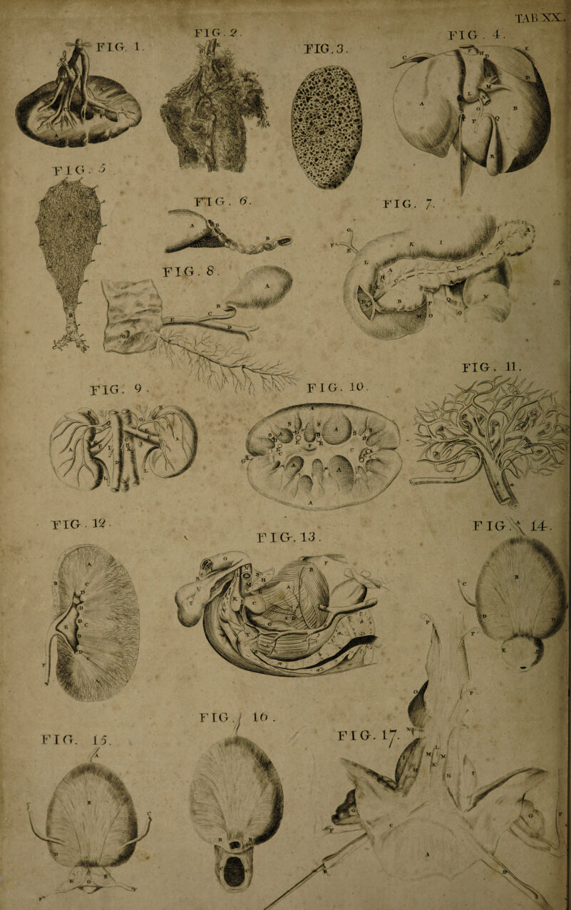 TAB FIG YIG • Vi F I Cx ,\\ 14r FIG. 1