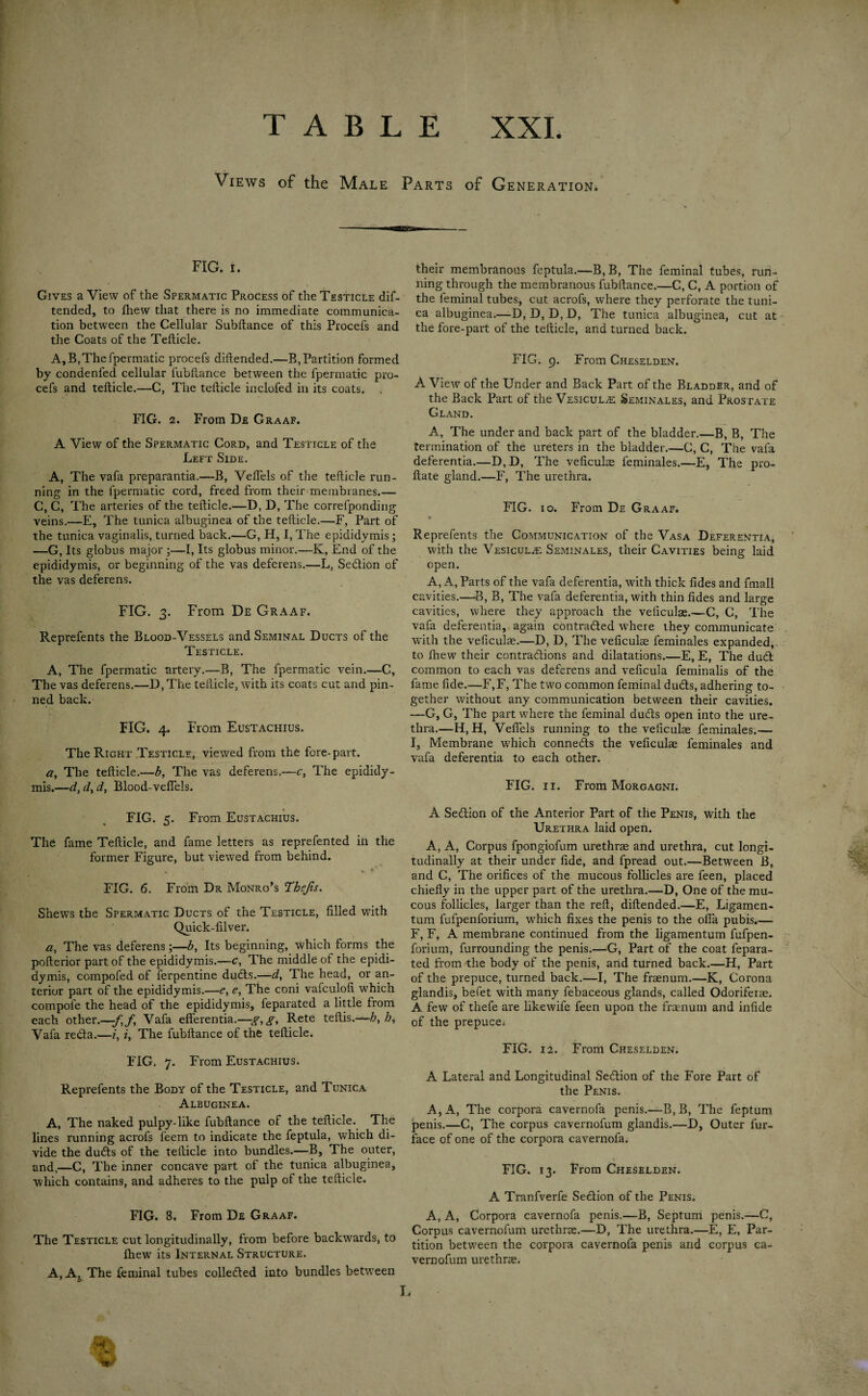 Views of the Male Parts of Generation. FIG. i. Gives a View of the Spermatic Process of the Testicle dif- tended, to {hew that there is no immediate communica¬ tion between the Cellular Subftance of this Procefs and the Coats of the Tefticle. A, B, The fpermatic procefs diilended.—B,Partition formed by condenfed cellular fubhance between the fpermatic pro¬ cefs and tefticle.—C, The tefticle inclofed in its coats. . FIG. 2. From De Graaf. A View of the Spermatic Cord, and Testicle of the Left Side. A, The vafa preparantia.—B, Veflels of the tefticle run¬ ning in the fpermatic cord, freed from their membranes.—■ C, C, The arteries of the tefticle.—D, D, The correfponding veins.—E, The tunica albuginea of the tefticle.—F, Part of the tunica vaginalis, turned back.—G, H, I, The epididymis; —G, Its globus major ;—I, Its globus minor.—K, End of the epididymis, or beginning of the vas deferens.—L, SeCtion of the vas deferens. FIG. 3. From De Graaf. Reprefents the Blood-Vessels and Seminal Ducts of the Testicle. A, The fpermatic artery.-—B, The fpermatic vein.—C, The vas deferens.—D,The tefticle, with its coats cut and pin¬ ned back. FIG. 4. From Eustachius. The Right Testicle, viewed from the fore-part. a, The tefticle.—b, The vas deferens.—c, The epididy¬ mis.—d, d, d, Blood-veflels. FIG. 5. From Eustachius. The fame Tefticle, and fame letters as reprefented in the former Figure, but viewed from behind. FIG. 6. From Dr Monro’s Thejis. Shews the Spermatic Ducts of the Testicle, filled with Quick-filver. a, The vas deferens;—b, Its beginning, which forms the pofterior part of the epididymis.—c, The middle of the epidi¬ dymis, compofed of ferpentine duCts.—d, The head, or an¬ terior part of the epididymis.—e, e, The coni vafculofi which compofe the head of the epididymis, feparated a little from each other.—-f,f, Vafa efferentia.—g,g, Rete teftis.—h, h, Vafa reCta.—z, i, The fubftance of the tefticle. FIG. 7. From Eustachius. Reprefents the Body of the Testicle, and Tunica Albuginea. A, The naked pulpy-like fubftance of the tefticle. The lines running acrofs feem to indicate the feptula, which di¬ vide the duCts of the tefticle into bundles.—B, The outer, and,—C, The inner concave part of the tunica albuginea, which contains, and adheres to the pulp of the tefticle. FIG. 8. From De Graaf. The Testicle cut longitudinally, from before backwards, to fhew its Internal Structure. A, A, The feminal tubes collected into bundles between their membranous feptula.—B,B, The feminal tubes, run¬ ning through the membranous fubftance.—C, C, A portion of the feminal tubes, cut acrofs, where they perforate the tuni¬ ca albuginea.—-D, D, D, D, The tunica albuginea, cut at the fore-part of the tefticle, and turned back. FIG. 9. From Cheselden. A View of the Under and Back Part of the Bladder, and of the Back Part of the Vesicula: Seminales, and Prostate Gland. A, The under and back part of the bladder.—B, B, The termination of the ureters in the bladder.—G, C, The vafa deferentia.—D,D, The veficuke feminales.—E, The pro- ftate gland.—F, The urethra. FIG. 10. From De Graaf. Reprefents the Communication of the Vasa Deferentia, with the Vesiculee Seminales, their Cavities being laid open. A, A, Parts of the vafa deferentia, with thick tides and fmall cavities.—B, B, The vafa deferentia, with thin fides and large cavities, where they approach the veficula.—C, C, The vafa deferentia,. again contracted where they communicate with the veficula.—D, D, The veficuke feminales expanded,, to {hew their contractions and dilatations.—E, E, The duCt common to each vas deferens and veficula feminalis of the fame fide.—F,F, The two common feminal duCts, adhering to¬ gether without any communication between their cavities. —G, G, The part where the feminal duCts open into the ure¬ thra.—H, H, Veflels running to the veficuke feminales.— I, Membrane which connects the veficula feminales and vafa deferentia to each other. FIG. 11. From Morgagni. A SeCtion of the Anterior Part of the Penis, with the Urethra laid open. A, A, Corpus fpongiofum urethra and urethra, cut longi¬ tudinally at their under fide, and fpread out.—Between B, and C, The orifices of the mucous follicles are feen, placed chiefly in the upper part of the urethra.—D, One of the mu¬ cous follicles, larger than the reft, diftended.—E, Ligamen- tum fufpenforium, which fixes the penis to the ofia pubis.— F, F, A membrane continued from the ligamentum fufpen¬ forium, furrounding the penis.—G, Part of the coat fepara¬ ted from the body of the penis, and turned back.—H, Part of the prepuce, turned back.—I, The franum.—K, Corona glandis, befet with many febaceous glands, called Odorifera. A few of thefe are likewife feen upon the franum and infide of the prepuce. FIG. 12. From Cheselden. A Lateral and Longitudinal SeCtion of the Fore Part of the Penis. A, A, The corpora cavernofa penis.—B,B, The feptum penis.—C, The corpus cavernofum glandis.—D, Outer fur- face of one of the corpora cavernofa. FIG. 13. From Cheselden. A Tranfverfe SeCtion of the Penis. A, A, Corpora cavernofa penis.—B, Septum penis.—C, Corpus cavernofum urethra.—D, The urethra.—E, E, Par¬ tition between the corpora cavernofa penis and corpus ca¬ vernofum urethra. J