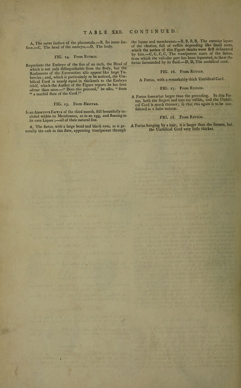 TABLE XXII. CONTINUED. A, The outer furface of the placentula.—B, Its inner fur- face.—C, The head of the embryo.—D. The body. FIG. 14. From Ruysch. Reprefents the Embryo of the fize of an inch, the Head of which is not only diftinguifhable from the Body, but the Rudiments of the Extremities alfo appear like large Tu¬ bercles ; and, which is particularly to be noticed, the Um¬ bilical Cord is nearly equal in thicknefs to the Embryo itfelf, which the Author of the Figure reports he has feen oftner than once.—“ Does this proceed,” he afks, “ from “ a morbid ftate of the Cord ?” FIG. 15. From Heister. Is an Abortive Fcetus of the third month, ftill beautifully in- clofed within its Membranes, as in an egg, and floating in its own Liquor ;—all of their natural fize. A, The foetus, with a large head and black eyes, as is ge¬ nerally the cafe in this ftate, appearing tranfparent through the liquor and membranes.—B, B, B, B, The exterior layers of the chorion, full of vefiels depending like fmall roots, which the author of this Figure thinks were firft delineated by him.—C, C, C, C, The tranfparent coats of the fcetus, from which the vafcular part has been feparated, to fhew the fcetus furrounded by its fluid.—D, D, The umbilical cord. FIG. 16. From Ruysch. A Fcetus, with a remarkably thick Umbilical Cord. FIG. 17. From Ruysch. A Fcetus fomewhat larger than the preceding. In this Fce¬ tus, both the fingers and toes are vifible, and the Umbili¬ cal’Cord is much thinner; fo that this again is to be cou- fidered as a lufus naturae. FIG. 18. From Ruysch. A Fcetus hanging by a hair; it is larger than the former, but the Umbilical Cord very little thicker.