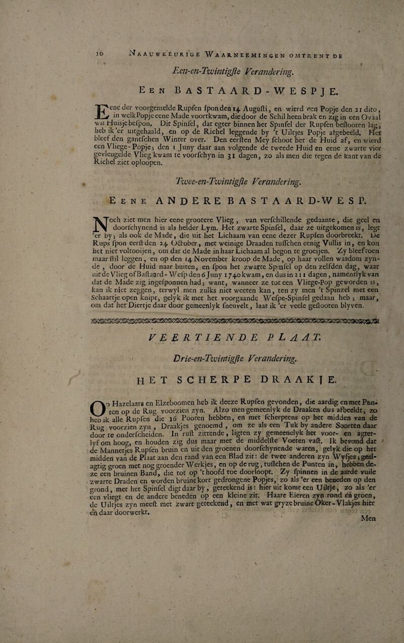 / / 30 Nåauwkeurige Waarneemingen omtrent de * . I Een-en-Twintigfte Verandering. Een BaSTAARD-WESPJE. Eene der voorgemelde Rupien fponden 14, Augufti, en wierd een Popje den 21 dito, in welk Popje eene Made voortkwam, diedoor de Sehil heen brak en zig in een Ovaal wic Huisjebelpon. Dit Spinfel, dat egter binnenhet Spinfel der Rupfen beflooten lag, heb ik er uirgehaald, en op de Richel leggende by ft Uiltjes Popje algebeeld. Hec bleefden gantfchen Winter over. Den eerften Mey fchoot bet de Huid af, en wierd een Vliege-Popje; den 1 Juny daar aan volgende de tweede Huid en eene zwarte vier gevleugelde Vlieg kwam te voorfchyn in 31 dagen, zo als men die tegen de kant van de Richel ziet oploopen. Twee-en-Tzvintigfte V°randering. Eene ANDERE BASTA ARD-WESP. Noch ziet men hier eene grootere Vlieg , van verfchillende gedaante , die gcel en doorfchynend is als helder Lym. Het zwarte Spinfel, daar ze uitgekomen is, legt ’er by; als ook de Made, die uit hec Lichaam van eene dezer Rupfen doorbreekt. De Rups fpon eerftden 24, Oktober, met weinige Draaden tuffchen eenig Vuliis in, en kon het niec voltooijen, om dat de Made in haar Lichaam al begon te groeijen. Zy bleefroen maar liil leggen , en op den 14 November kroop de Made, op haar vollen wasdom zyn- de , door de Huid naar buiten, en fpon het zwarte Spinfel op den zelfden dag, waac uit de Vlieg of Baftaard - W efp den 6 Juny 1740 kwam, en dus in 2 n dagen, namentlyk van dat de Made zig ingefponnen had; want, wanneer ze tot een Vliege-Pop geworden is, kan ik niet zeggen, terwyl men zulks niet weeten kan, ten zy men c Spinzel met een Schaartje open knipt, gelyk ik met het voorgaande Wefpe-Spinfel gedaan heb ; maar, om dat het Diertje daar door gemeenlyk fneuvelt, laat ik ’er veele geflooten blyven. SS®SSSSffi!SSS5S5S^ FEERTIENDE P L A A T. s Drie-en-Tzvintigfte Verandering. het SCHERPE DRAAKIE. O o Hazelaars en Elzeboomen heb ik deeze Rupfen gevonden, die aardig en met Pan¬ ten op de Rug voorzien zyn. Alzo men gemeenlyk de Draaken dus afbeeldt, zo hebik alle Rupfen die 16 Pooten hebben, en met fcherptens op het midden van de Ru<* voorzien zyn , Draakjes genoemd , om ze als een Tuk by andere Soorten daar door te onderfeheiden. In ruft zittende, ligten zv gemeenelyk het voor- en agter¬ ly f om hoog, en houden zig dus maar met de middelfte Voeten vaft. Ik bevond dat de Mannetjes Rupfen bruin en uit den groenen doorfehynende waren, gelyk die op het midden van de Plaat aan den rand van een Blad zit: de twee anderen zyn Wyfjes;geel- agtig groen met nog groender Werkjes, en op de rug, tuflehen de Punten in, hebben de- ze een bruinen Band, die tot op ft hoofd toe doorloopt. Zy fpinnen in de aarde vuile zwarte Draden en worden bruinekort gedrongene Popjes, zo als ’er een beneden op den errønd, mec het Spinfel digt daar by, geteekendis: hier uit komt een Uiltje, zo als ’er een vliegt en de andere beneden op een kleine zit. Haare Eieren zyn rond en groen, de Uiltjes zyn meeft mec zwart geteekend, en met wac gryzebruineOker-Vlakjes hier en daar doorwerkt. ' ' Men i. 's