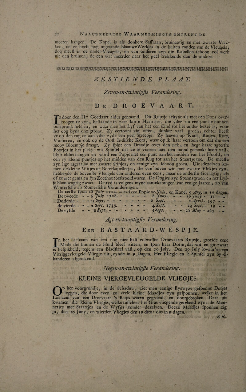 moetcn hangen. De Kapel is als donkere Saffraan, bruinagtig en men zwarte Vlak- ken, en ze hcofr nog ingerande blaauweWcrkjes in de buiren randen van de Vleugcls > dog meeft in de onder-Vleugels, en van onderen zyn die Kapellen fchoon vol werk uic den bruinen, de een wat meerder naar het geel trekkende dan de andere. ZESTIEN DE P L A AE Zeven-en-twintigfte Verandering, De DROEVAART, Is door den Hr: Goedanrc aldus genoemd. Dit Rupsje fchyrit als met een Dons orcr'^ toogentezyn, beftaande in zeer korre Haairtjes, die yder uit een puntje hunnen oorfpronk liebben, en waar mee het Lyf van het een Eind tot het ander bezet is, voor het oog byna onzigtbaar. Zy vertoont zig effen, donker vaal groen* echter heeft ze op den rug cn aan yder zyde een geel S^reepje. Zy leeven op 'Kool, Radys, Kors, Violieren, en ook op de Ooif lndifche Kors, waar opik haar vertoon om dat die een mooy Bloempje draagt. Zy fpint een Draadje over den nek, en hegt baare agterffe Pootjes in het plckje wit Spinfel dat ze te vooren met den mond gemaakt heeft vaftj blyft aldus hangen en word een Popjemet een punt aan het midden van het Hoofd, cn een ry kleine piintjes op het midden van den Rug tot aan het Staartje toe. De meeffe zyn ligt asgraauw met zwarte Stipjes, en eenige zyn fchoon groen. Uitjdezelven ko¬ men dekleine Wirjes of Boterkapelletjes, die van boven wit met zv/arte Vlekjes zyn, hebbende de bovenffe Vleugels van onderen even eens , maar de onderfte Gcelagtig, als of ze met gemalen fyn Zoethoutbeftrooid waren. De Oogjes zyn Spaansgroen en het Lyf- je blaauwagtig zwart. De tyd is volgens myne aantekeningen van eenige Jaaren, zo van Winterfche als Zomerfche Veranderingen. De eerfte fpon 18 July i7*°- wi^rrl een PopjeonJuly ^ en Kapel y Aug, in 16 dagen. Detweede - - 6 Jttly 1728.- - - - - 8 Pfuny, - - \9Juny - 11 - - Dederde - - -13 Sept. ------ - 6 Sept. - - \ April- 197 - . de vierde - - - 2 Sept. 1735?. - - - - 4Sept. - - 23 Sept. - 19 - - Devylde - - 2Sept. - - - - - - 5Sept. - - 28 May -267 - - Agt-en-twintigfte Verandering. Een BASTAARD- WESPJE. In het Lichaam van een nog niet half volwafTen Droevaarts Rupsje, groeide eene Made die binnen de Huid bleef zitten, en fpon haar Dotje,dat wit en git-zwart is befpikkeld, tegens een Bladfteel vafl, op den 20 July. Den 29 July kwam’ereen Vicriggevleugeld Vliegje uit, zynde in 9 Dagen. Het Vliegje en ’t Spinfel zyn by el- kanderen afgetekend. Negen-en-twintigfte Verandering. KLEINE VIERGEVLEUGELDE VLIEGJES. Od het voorgrondje,; in de Schaduw, ziet men eenige Eyswyze gelponne Dotjes leggen, die door even zo veele kleine Maadjes zyn gefponnen, welke in het Lichaam van een Droevaart 's Rups waren gegroeid, en doorgebroken. Daar uit kwamen die kleine VIiegjes, welketuffehen het Gras vliegende getekend zyn: de Man- netjes met Staartjes en de Wyfjes zonder dezelven. Deeze Maadjes fponnen zig in, den 10 Juny, en wierden Vhcgjes den 19 dito: dus in 9 dagen, Z E- r r