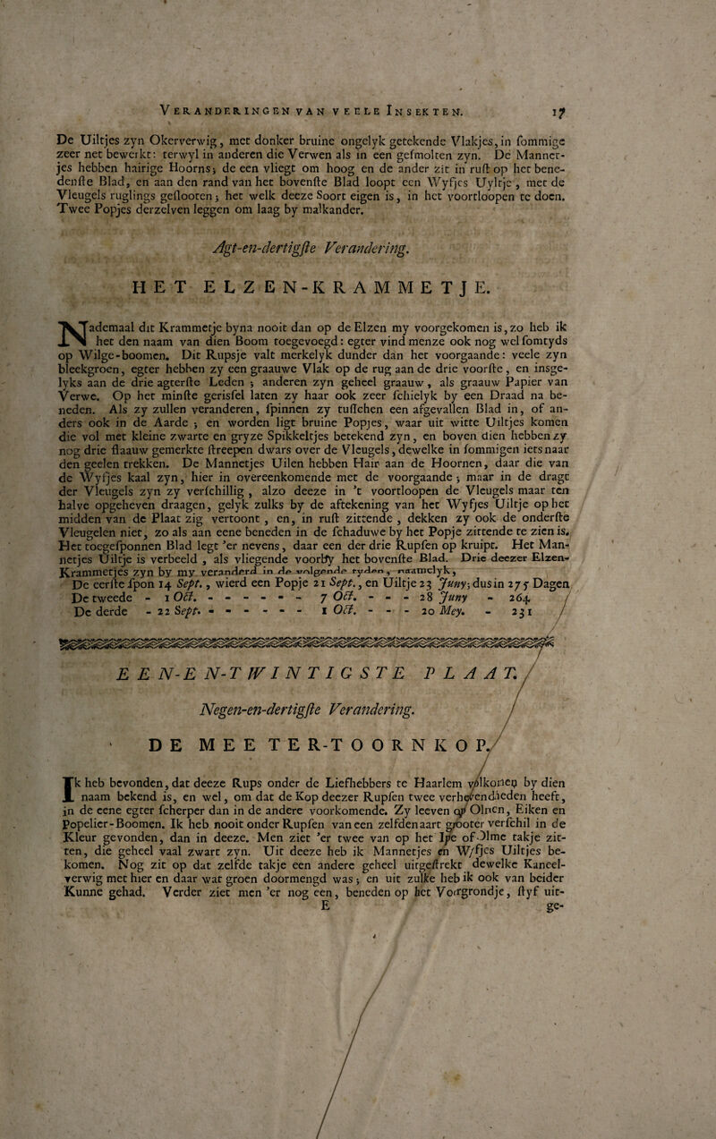 i? De Uiltjes zyn Okerverwig, met donker bruine ongelyk getckende Vlakjes,in fommige zeer net bewerkt: terwyl in anderen die Verwen als in een gefmolten zyn. De Manncr- jes hebben hairige Hoorns; de een vliegt om hoog en de ander zit in ruftop het bene- denfte Blad, en aanden rand van het bovenfte Blad loopt een Wyfjcs Uyltje , met de Vleugels ruglings geflooten > het welk deeze Soort eigen is, in het voortloopen tc doen. Twee Popjes derzelven leggen om laag by malkander. Agt-en-dertigfte Vercwdering. HET ELZEN -IC RAMMETJE. Nademaal dit Krammetjc byna nooit dan op de Elzen my voorgekomen is,zo heb ik het den naam van dien Boom toegevoegd: egter vind menze ook nog wel fomtyds op Wilge-boomen. Dit Rupsje valt merkelyk dunder dan het voorgaande: veele zyn bleekgroen, egter hebben zy een graauwe Vlak op de rug aan de drie voorfte, en insge- lyks aan de drie agter fte Leden ; anderen zyn geheel graauw, als graauw Papier van Verwe. Op het minfte gerisfel laten zy haar ook zeer fchielyk by een Draad na be¬ neden. Als zy zullen veranderen, fpinnen zy tuftchen een argevallen Blad in, of an¬ ders ook in de Aarde ; en worden ligt bruine Popjes, waar uit witte Uiltjes komen die vol met kleine zwarte en gryze Spikkeltjes betekend zyn, en boven dien hebben zy nog drie flaauw gemerkte ftreepen dwars over de Vleugels, dewelke in fommigen ietsnaar den geelen trekken. De Mannetjes Uilen hebben Hair aan de Hoornen, daar die van de Wyfjes kaal zyn, hier in overeenkomende met de voorgaande; maar in de dragt der Vleugels zyn zy verfchillig , alzo deeze in \ voortloopen de Vleugels maar ten halve opgeheven draagen, gelyk zulks by de aftekening van het Wyfjes Uiltje op het midden van de Plaat zig vertoont , en, in ruft: zittende , dekken zy ook de onderfte Vleugelen niet, zo als aan eene beneden in de fchaduwe by het Popje zittende te zicnis, Het toegefponnen Blad lege *er nevens, daar een der drie Rupfen op kruipt. Het Man¬ netjes Uiltje is verbeeld , als vliegende voorby het bovenfte Blad. Drie deezer Elzen- Kramnietjes zyn by my verand^rd in i-yd^n, maaroclyk. De eerfte ipon 14 Sept., wierd een Popje 21 Sept., en Uiltje 23 Juny; dusin 275- Dagen Dctweede - lOÉt. ------ 7 Ott. - - - 28 Juny - 264 De derde - 22 Sept* ------ 1 Off. - - - 20 Mey. - 231 E E N-E N-T IVI N T I G ST E PLAAT. Negen-en-dertigfte Verandering. 1 *■ \ DE M E E T E R-T O O R N K O P. Ik heb bevonden, dat deeze Rups onder de Liefhebbers te Haarlem yolkotfei? by dien naam bekend is, en wel, om dat de Kop deezer Rupfen twee verhe^endneden heeft, in de eene egter fcherper dan in de andere voorkomendc. Zy leeven op Olncn, Eiken en Popelier-Boomen. Ik heb nooit onder Rupfen van een zelfdenaart grooter verfehil in de Kleur gevonden, dan in deeze. Men ziet ’er twee van op het Ipe ofDlme takje zit- ten, die geheel vaal zwart zyn. Uit deeze heb ik Mannetjes en W/fjcs Uiltjes be- komen. Nog zit op dat zelfde takje een andere geheel uitgeftrekt dewelke Kancel- verwig met hier en daar wat groen doormengd was ; en uit zulke heb ik ook van beider Kunne gehad. Vcrder ziet menter nog een, beneden op het Vorrgrondje, ftyf uit- E ge-