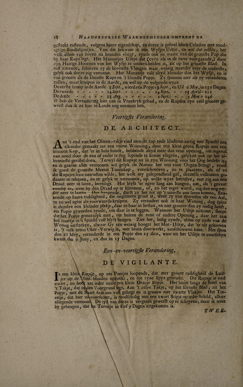 geftrekt ruflende, volgens haare eigenfchap, endeeze is geheel bleek Celadon met rood- agrige Bindfelgaatjes. Van die bekwam lk een Wyfjes CJilcje, en wel dat zelfde^ het welk alhier van boven na beneden vliegt, zynde ook na maate van de grootfle Pop die by haar Rups legt. Het Mannetjes Uiltje dat (even als in de twee voorgaande,) door zyn Hainge Hoornen van het Wyfje te onderfcheiden is, zit op het grootfle Blad. In rufl zitrende, fchuiven zy de bovenfte Vleugels maar weinig meerder over de onderftej, gelyk ook deeze zig vertoont. Het Mannetje valt altyd kleinder dan het Wyfje, en is van grootte als de kleinfle Rups en ’t kleinfte Popje. Zy fpinnen niet als zy vcranderen ' zullen, maar kruipen in dc Aarde, en wel op de volgende wyze. Deeerfle kroop inde Aarde 3 Sept., wicrdeen Popje 13 Sept., en Uil 6 Mey ,in 23 y Dagen Derweede ----- 1 ^Sept. ----- 2^.Sept, - - 23 April- 211 Dedctde ----- 23 /lug, ----- 1 Sept. - - y Mey - 246 Uc heb de Verandering hier van in Vrankryk gehad, en de Rupfen zyn veel grooterge- weefl dan ik ze hier te Lande nog ontmoet heb. Veertigfle Verandering. DE ARCHITECT. Aan ’t end van het Olmen-takje vind men de top ends bladeren aartig met Spinfel aan elkander gemaakt tot een ruime Wooning, door een klem groen Rupsje met een briunen Kop, dat ’er in huis houdt, hebbende altyd meer dan eene opening, omingeval van nood door de een of ander te rug lopende te konne vlugten, gelykze ook op het al- lerminfle geriflel doen. Terwyl dit Rupsje nu in zyn Wooning voor het Oog bedekt is 5 en ik gaarne alles vertoonen wil gelyk de Natuur het ons voor Oogen brengt, vond ik goed de grootfle Meeter Toornkop , voorfchreeven , zo te plaatzen, als of ze dit Rupsjes huis ontruften wilde* het welk my gelegendheid gaf, deszelfs volkomen ge- daante te tekenen, en te gelyk te vertoonen, op welke wyze hetzelve, met zig aan een Draad neer te laten, beveiligt. Het blyft ’er egter lang aan hangen, om, als ’t gevaar voorby is, weer by den Draad op te klimmen, of, zo het erger wierd, zig dan nog ver- der neer telaaten Dus bangmde, durft zy het tot op ’t uiterfle aan laten komen, fteu* nende op haare rnddigheid, die ongemeen groot is, want zy Kan rparrelen als een Aal, pn zo wel agter als voorwaards kruipen. Zy verandert ook in haar Woning , dog fpinc ii dezelve een kleinder plekje ,daar ze haar in befluit, en niet groorer dan zy nodigheeft, een Popje geworden zynde, om daar in te leggen. Wanneer het Uiltje uitkomt, fleept dat het Popje gemeenlyk mee, tot buiten de eene of andere Opening , daar het aan het itaartje in ’t Spinfel vaft blyft hangen. Ziet het, ledig zynde, aldus op zyde van de Woring uitfteeken, alwaar Gy een weinig hooger het Mot - Uiltje, dat ’er uit gekomen is , ’t velk bruin Oker-Verwig is, met bruin doorwerkt, aanfchouwen kunt. Het fpon den 21 Mey, veranderde in een Popje den 2f dito, waaruit het Uiltje te voorfehyn kwam dtn 9 Juny, en dus in iy Dagen. r Een - en - veertigfle Vtrandering. DE VIGILANTE. Is een kleiKRupsje, op zes Pootjes loopende, dat met groote raddigheid de Lu le¬ jes, op de yimc-blaaden opzoekc , en tot zyne Spys gebriiikt. Dit Rupsje is vaal zwart, en heei aan ieder zeide een klein Oranje Stipje. Het loopt langs de Steel van ’t Takje, dat opdenVoorgrondlegt. Aan ’t zelve Takje, op het kleinfle Blad, zit hec Popje, met de Staart daar aan vaft gehegt en is graauw met zwarte Vlakjes. Het Tor- retje, dat hier uiVvoortkomt, is roodfehalig met een zwart Sdpje op ieder Schild, alhier vliegende vertoont^ De tyd van deeze is vergeten gewee'ft op te fchryvenj maar ik weec by geheugen, dat fiet Torretje in 8 of 9 Dagen uitgekomen is. T fV E E-