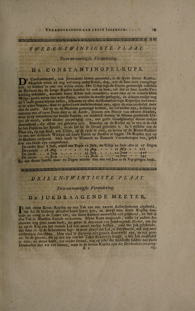 T IV E E-E N-T IV I N T I G S T E P L A AT Twee-en-veertigfte Verandering. De CONSTANTINOPE L-R UPS. De Conftantinopel, ook Jeruzalems bioem genoemd, is de fpyze deezer Rupfen. Mogelyk eeten zy nog wel eenig ander Kruid, dog, war ik haar 001c voorgelegt heb zy hebben 'er nier van willen eeren. Het Uiltje legede Eieren gemeenlyk tuirchen de Bloemen in* de Jonge Rupfen houden 'er ook in huis, tot dat ze haar iaatfte Ver- huidino- bekomen , wanneer haare Kleur ook verandert 5 want daar ze te vooren biede. Wil^e- groen waren met witte ftipjes, worden de meefte geelagtig, en fchoon eenige nog na’t^vaale ^roen bly ven hellen, bekomen zy allen dof Kaneel verwige Kepertjes meczxvar- te en witte^Stipjcs, daar ze geheel over mede betekend zyn, egter de eene merkelyk meer dan de ander. Als zy nu de Bladeren genuttigd hebben, en volwaflen zy/i, kruipen zy omtrent een of twee Duim diep in de Aarde , fpinnen een Huisje van zx^arte draaden, waar in zy veranderen tot bruine Poppen, en eindelyk komen 'er fchoon getekende Uil- ties uitvoort, welke donker purperagtig zyn, met geele Goudglanzige dunne trekjes doortekend , die alhier wit gelaaten zyn. Beneden op de Richel zit’er een in de ruft bv het Popie en het Spinfel, zo als het uit de Grond genomen is. In ’t midden van de Plaat zit op een Blad, een Uiltje, op de zyde te zien, en boven op de Bioem flodderc ’er een met drillende Wiekjes om haare Eieren op dezelve te leggen .De Rupfen zyn op de Bladeren verfpreid. Men heeft'er Winterfe en Zomerfe Veranderingen van, gelyk hier van beide zyn aangetekend. Deeerfte fpon 8 July, wierd een Popje 12 July, en Uiltje 29 Juty: dus in 17 Dagea Detweede - 18 Aug. ----- 23 Aug. - - - 21 Mey - - 271 Dederde - P Juty.X* *  - * + - 33« Devierde - - --■ V ^ “ ir ^7n' ~ 1 34f, , Zo dat deeze Iaatfte maar 20 Dagen minder dan een voljaarinde Pop gelegen heeft. D RI E E N-T (VINT IGSTE PLAAT Drie-en-veertigfte Verandering. De JUKDRAAGENDE meeter. Ik heb deeze Kram-Rupfen op een Tak van een zwarte Aalbesfenboom afgebeeld , om dat de bladeren derzelve haare fpyze zyn, en dewyl men deeze Rupfen fom¬ tyds zo vroeg in de Zomer ziet, dat deeze Boomen naauwlyks zyn gefpeend, zo heb ik den Tak in Bloeflem ftaande verkoozen. Myne Rups aangaande , welke by andere Au- theuren nog geen naam heeft, die geeve ik den naam van Jukdrdagende Meeter, om dat ze op de Rug aan het tweede Lid een zwart merkje hebben , naar een Juk gelykende, dat haar als op de Schouderen legt: te meer dewyl dat Lid, te dierplaatze, ook nog meer verhevenis dan elders. Men vind’er diebruin metgraauw doorwerkt zyn, en pok groe- ne. In de groene, die op den top van het Takje Kramswys kruipt, is het Jute duidelyku te zien j en deeze heeft, tot verder fieraad, nog op yder der middelfte Leden een paars Driehoekie met wit van binnen, maar in de bruine Rupfen zyn die Driehoekjeo zwartag- J E 2 . r’gJ