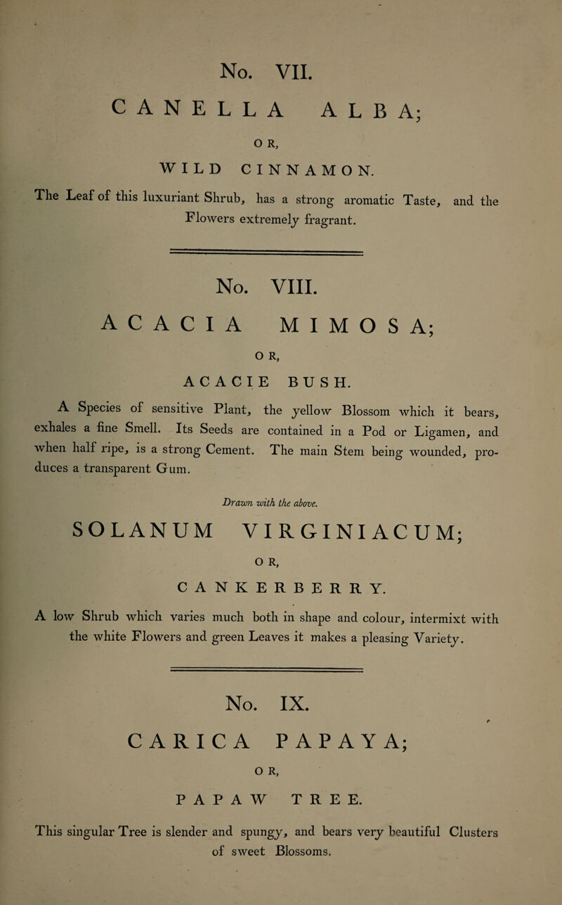 No. VII. CANELLA ALBA; O R, WILD CINNAMON. The Leaf of this luxuriant Shrub, has a strong aromatic Taste, and the Flowers extremely fragrant. No. VIII. ACACIA MIMOS A; O R, ACACIE BUSH. A Species of sensitive Plant, the yellow Blossom which lt bears, exhales a fine Smell. Its Seeds are contained in a Pod or Ligamen, and when half npe, is a strong Cement. The main Stem bemg wounded, pro- duces a transparent Gum. Drawn with the above. SOLANUM VIRGINIACUM; O R, CANKERBERRY. A low Shrub which varies much both in shape and colour, intermixt with the white Flowers and green Leaves it makes a pleasing Varie ty. No. IX. CARICA PAPAYA; O R, PAPAW TREE. This singular Tree is siender and spungy, and bears very beautiful Clusters of sweet Blossoms.