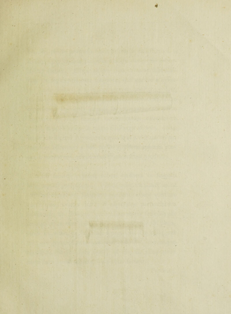 ■ - . I - . ' _ * * * . ' ' - • V .t. . - . i 1/ .