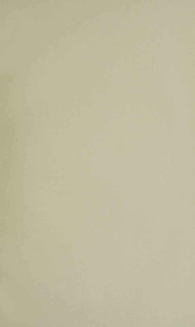 A 1 ; ‘ f' .4 1 • *f &gt; ■* • S; *« Mf \ t I