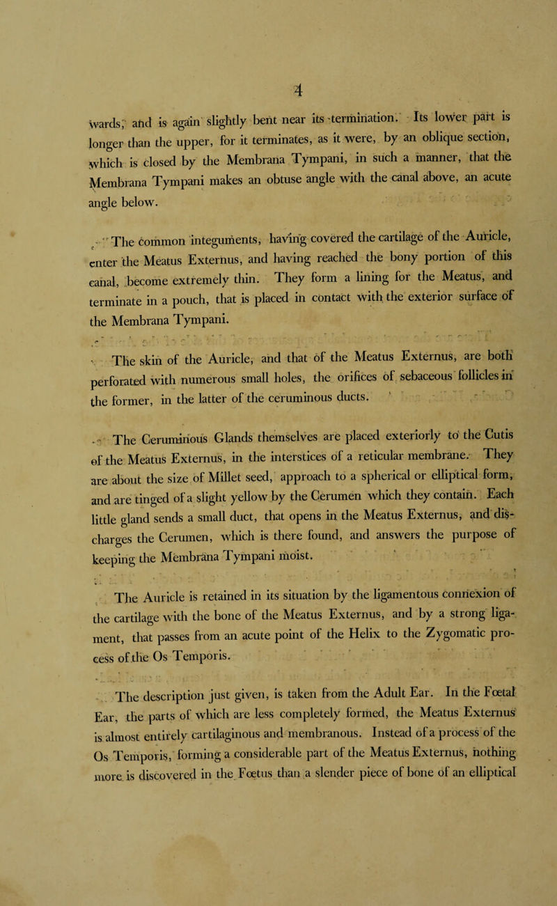 wards;- and is again' slightly bent near its'termination.' - Its lower part is longer than the upper, for it terminates, as it were, by^an oblique section, which is closed by the Membrana Tympani, in such a manner, that the Membrana Tympani makes an obtuse angle with the canal above, an acute angle below. -  The common integuments, having covered the cartilage of the Auricle, enter the Meatus Exterhus, and having reached the bony portion of this canal, .become extremely thin. They form a lining for the Meatus, and terminate in a pouch, that is placed in contact with the exterior surface of the Membrana Tympani. « ^ . V • ■J' • V The skin of the Auricle, and that of the Meatus Externus, are both perforated with numerous small holes, the orifices of sebaceous'follicles in the former, in the latter of the ceruminous ducts. ' - -- The Cerumirious Glands themselves are placed exteriorly to the Cutis ©f the Meatus Externus, in the interstices of a reticular membrane.- They are about the size of Millet seed, approach to a sjpherical or elliptical form, and are tinged of a slight yellow by the Cerumen which they contain. Each little gland sends a small duct, that opens in the Meatus Externusand'dis¬ charges the Cerumen, which is there found, and answers the purpose of keeping the Membrana Tympani moist. - - * . ' « 1 * ’ , • &gt; •* i. 1 ♦ V ' The Auricle is retained in its situation by the ligamentous connexion of the cartilage with the bone of the Meatus Externus, and by a strong liga¬ ment, that passes from an acute point of the Helix to the Zygomatic pro¬ cess of the Os Temporis. . . • The description just given, is taken from the Adult Ear. In the Foetal Ear, the parts of which are less completely formed, the Meatus Externus’ is almost entirely cartilaginous and membranous. Instead of a process of the Os Temporis, forming a considerable part of the Meatus Externus, hothihg more is discovered in the. Foetus than a slender piece of bone of an elliptical