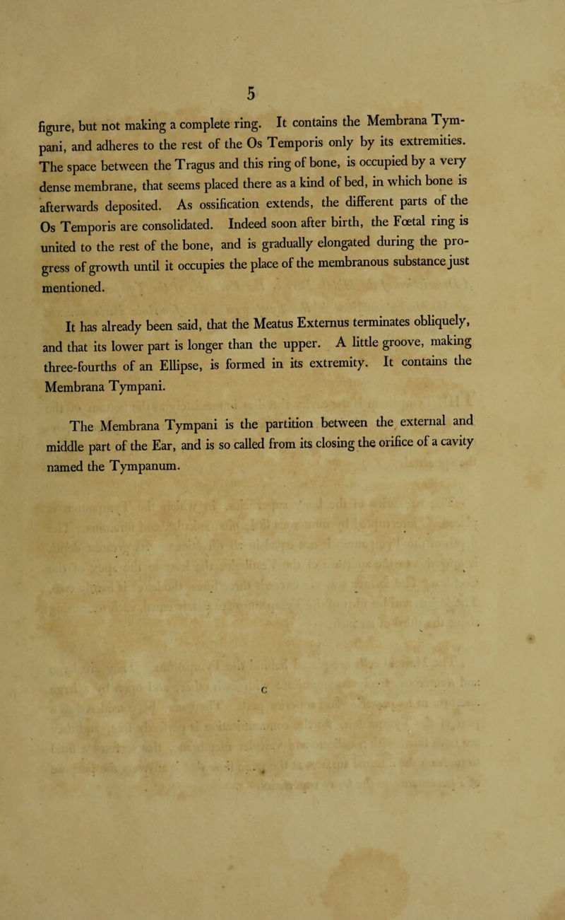 figure, but not making a complete ring. It contains the Membrana Tym- pani, and adheres to the rest of the Os Temporis only by its extremities. The space between the Tragus and this ring of bone, is occupied by a very dense membrane, that seems placed there as a kind of bed, in which bone is afterwards deposited. As ossification extends, the different parts of the Os Temporis are consolidated. Indeed soon after birth, the Foetal ring is united to the rest of the bone, and is gradually elongated during the pro¬ gress of growth until it occupies the place of the membranous substance just mentioned. It has already been said, that the Meatus Extemus terminates obliquely, and that its lower part is longer than the upper. A little groove, making three-fourths of an Ellipse, is formed in its extremity. It contains the Membrana Tympani. \. The Membrana Tympani is the partition between the external and middle part of the Ear, and is so called from its closing the orifice of a cavity named the Tympanum. c