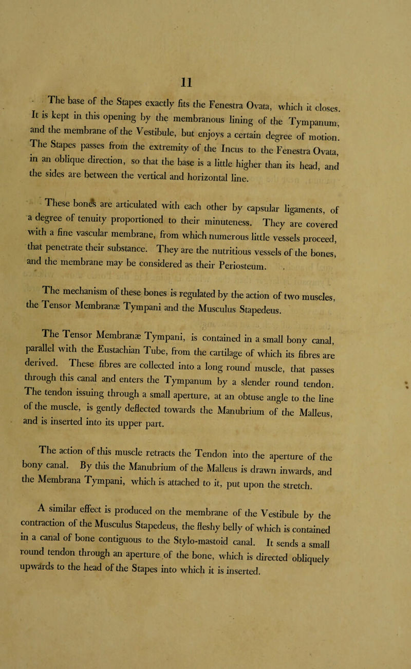 The base of the Stapes exactly fits the Fenestra Otata, which it closes. It is kept in this opening by the membranous lining of the Tympanum and the membrane of the Vestibule, but enjoys a certain degree of motion’ The Stapes passes from the extremity of the Incus to the Fenestra Ovata, in an oblique direction, so that the base is a little higher than its head, and the sides are between the vertical and horizontal line. - These bonA are articulated with each other by capsular ligaments, of a degree of tenuity proportioned to their minuteness. They are covered with a fine vascular membrane, from which numerous little vessels proceed, that penetrate their substance. They are the nutritious vessels of the bones, and the membrane may be considered as their Periosteum. The mechanism of these bones is regulated by the action of two muscles, the Tensor Membranas Tympani and the Musculus Stapedeus. The Tensor Membranae Tympani, is contained in a small bony canal, parallel with the Eustachian Tube, from the cartilage of which its fibres are derived. These fibres are collected into a long round' muscle, that passes through this canal and enters the Tympanum by a slender round tendon. The tendon issuing through a small aperture, at an obtuse angle to the line of the muscle, is gently deflected towards the Manubrium of the Malleus, and is inserted into its upper part. The action of this muscle retracts the Tendon into the aperture of the bony canal. By this the Manubrium of the Malleus is drawn inwards, and the Membrana Tympani, which is attached to it, put upon the stretch. A similar effect is produced on the membrane of the Vestibule by the Mntraction of the Musculus Stapedeus, the fleshy belly of which is contained in a canal of bone contiguous to the Stylo-mastoid canal. It sends a small round tendon through an aperture of the bone, which is directed obliquely upwards to the head of the Stapes into which it is inserted.
