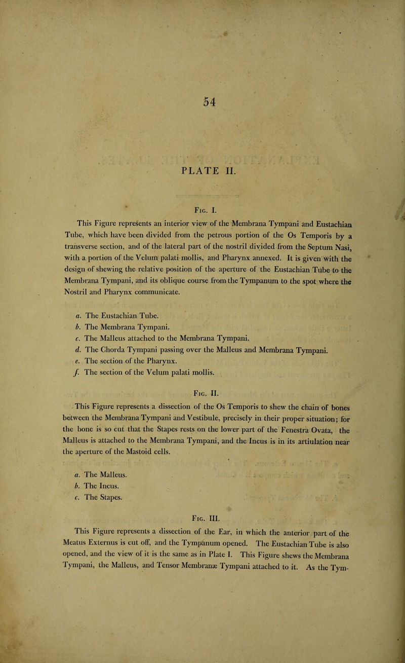 PLATE IL Fig. I. This Figure represents an interior view of the Membrana Tympani and Eustachian Tube, which have been divided from the petrous portion of the Os Temporis by a transverse section, and of the lateral part of the nostril divided from the Septum Nasi, with a portion of the Velum palati mollis, and Pharynx annexed. It is given'with the design of shewing the relative position of the aperture of the Eustachian Tube to the Membrana Tympani, and its oblique course from the Tympanum to the spot where the Nostril and Pharynx communicate. I a. The Eustachian Tube. b. The Membrana Tympani. c. The Malleus attached to the Membrana Tympani. d. The Chorda Tympani passing over the Malleus and Membrana TympanL e. The section of the Pharynx. f. The section of the Velum palati mollis. Fig. II. This Figure represents a dissection of the Os Temporis to shew the chain of bones between the Membrana Tympani and Vestibule, precisely in their proper situation; for the bone is so cut that the Stapes rests on the lower part of the Fenestra Ovata, the Malleus is attached to the Membrana Tympani, and the Incus is in its artiulation near the aperture of the Mastoid cells. f. . . . , • ” . a. The Malleus. , „ : . ; b. The Incus. c. The Stapes. . Fig. III. This Figure represents a dissection of the Ear, in which the anterior part of the Meatus Externus is cut off, and the Tympanum opened. The Eustachian Tube is also opened, and the view of it is the same as in Plate I. This Figure shews the Membrana Tympani, the Malleus, and Tensor Membranae Tympani attached to it. As the Tym-