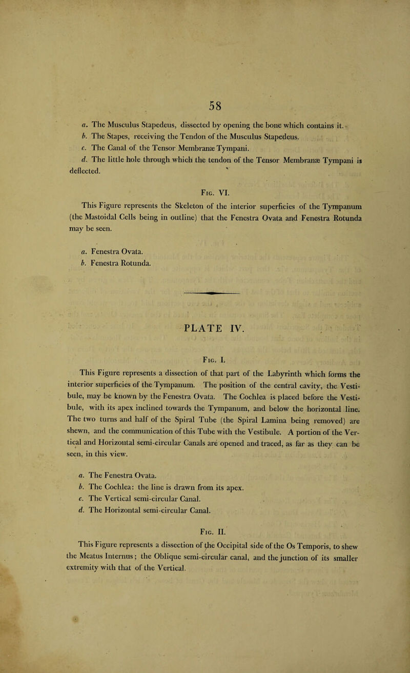 a. The Musculus Stapedeus, dissected by opening the bone which contains it. b. The Stapes, receiving the Tendon of the Musculus Stapedeus. c. The Canal of the Tensor Membranae Tympani. d. The little hole through which the tendon of the Tensor Membranae Tympani is deflected. Fig. VI. This Figure represents the Skeleton of the interior superficies of the Tympanum (the Mastoidal Cells being in outline) that the Fenestra Ovata and Fenestra Rotunda may be seen. a. Fenestra Ovata. b. Fenestra Rotunda. PLATE IV. Fig. I. This Figure represents a dissection of that part of the Labyrinth which forms the interior superficies of the Tympanum. The position of the central cavity, the Vesti¬ bule, may be known by the Fenestra Ovata. The Cochlea is placed before the Vesti¬ bule, with its apex inclined towards the Tympanum, and below the horizontal line. The two turns and half of the Spiral Tube (the Spiral Lamina being removed) are shewn, and the communication of this Tube with the Vestibule. A portion of the Ver¬ tical and Horizontal semi-circular Canals are opened and traced, as far as they can be seen, in this view. a. The Fenestra Ovata. b. The Cochlea: the line is drawn from its apex. c. The Vertical semi-circular Canal. d. The Horizontal semi-circular Canal. Fig. II. This Figure represents a dissection of ^he Occipital side of the Os Temporis, to shew the Meatus Internus; the Oblique semi-circular canal, and the junction of its smaller extremity with that of the Vertical.