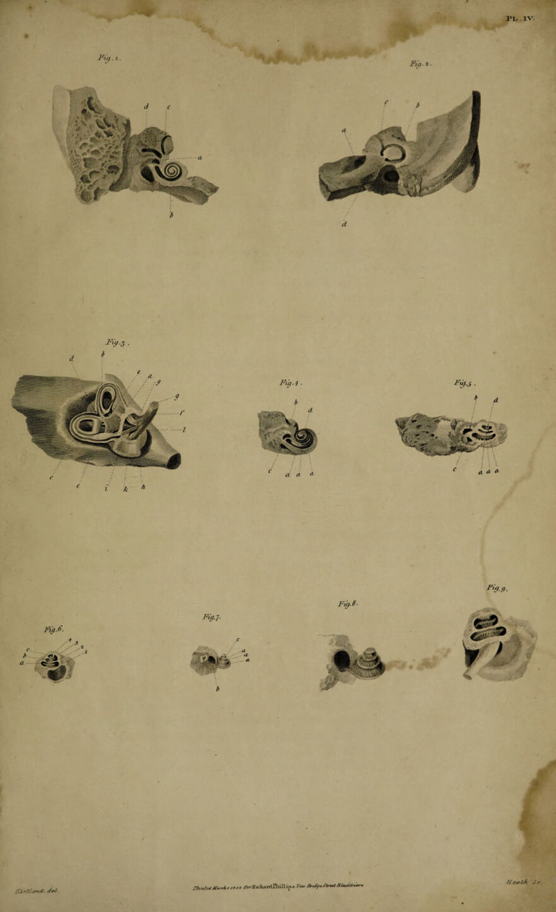 0 I Kirtl^nd. rorBichanLQull i|&gt;^ IW BUc^/nm-, He^tA. Jr