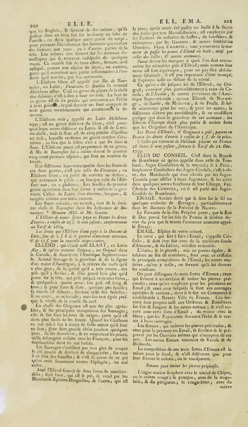 £07 que les Afiglois , fe fervent de fes racines , qü ils palfent dans un trou fait fur le champ au lobe de l’oreille, ou dans quelque autre partie du corps , pour procuier l’écoulement des humeurs qui caufent des fluxions aux yeux , ou à d’autres parties de la tète. Les mêmes s’en fervent fur les animaux do- melliques qui fe trouvent indifpofés de quelques maux. Ce remède fait de bons effets, fervant, ainft apliqué, comme une efpéce de feton, ou cautère, parce qu’il entretient une petite inflammation à 1 en¬ droit qu’il touche, par fou acrimonie. L’Eilebore blanc eft appelle par Mr. de Tour¬ ne fort , en Latin, Veratrnm. C. Bauhin l’a nommé Helleborus albus. C’eft un genre de plante de la claiîe des Rofacées, c’eft-à-dire à fleur en rofe. La fleur de ce genre eft de flx pétales qui entourent un Pillue à trois pointé, lequel devient un fruit compofé de trois gaines membraneufes qui contiennent la fe- mence. L’Ellébore noir , appelle en Latin Helleborus ni fer, eft un genre différent du blanc, c’eft pour¬ quoi leurs noms différent en Latin. Il eft de la mê¬ me claffe, mais fa fleur eft de cinq petales difpofces en rofe, laquelle renferme un grand nombre d éta¬ mines , au heu que le blanc n’en a que lix dans ia fleur. L’Ellébore puant eft proprement de ce genre, «5c Mr. de Tournefort lui a même donné le premier rang entre plulieurs efpéces, qui font au nombre de treize. Une différence bien remarquable dans les fleurs de ces deux genres, c’eft que celle du Veratrum , ou Ellébore blanc , n’a point de cornets au dedans , qui entourent le piftile au heu que celle de l'Ellé¬ bore noir, en a plufieurs. Les feuilles du premier genre aprochent dans leur forme à celles de la gen¬ tiane. Celles de l’autre font étroites, longues, ôc rangées comme une main ouverte. Les fleurs rofacées, ou en rofe, font de la ilxié> me claffe de Tournefort dans fes Inflitutions de Bo¬ tanique. * Mémoire MSS. de Mr. Garcin. IJ Ellébore de toutes fortes paye en France les droits d'entrée, à raifon de 21 f. le cent pefant, conformément au Tarif de 166q. Les droits que l’Ellébore blanc paye à la Douane de Lion, font de 2 f. 6 d. le quintal a ancienne taxation, U de io f pour la nouvelle réapréciation. ELLEND , qui s’écrit auflî ELANT, en Latin Alce, «5c qu’on nomme Orignac, ou Orignal dans le Canada, & dans toute l’Amérique Septentriona¬ le. Animal fauvage de la grandeur & de la figure d’un mulet d’Auvergne, à la réferve du mufle qu’il a plus gros , de la queue qu’il a très courte , des piés qu’il a fendus , <5c d’un grand bois plat qu’il porte fur la tête, qui péfe jufqu’à trois cens livres,, & quelquefois quatre cens : fon poil eft long ôc brun ; fa peau forte & dure , quoique peu épailfe ; fa viande eft délicate , fur-tout celle des femelles : 31 ne court, ni ne bondit 5 mais fon trot égale pref- que la vîtefte de la courfe du cerf. La chafle des Orignaux eft une des plus agréa¬ bles , «5c des principales occupations des Sauvages ; elle le fait dans les tems de neiges, parce qu’il eft alors plus, facile de les forcer. Quand les Chafteurs en ont mis à bas à coups de fuftls autant qu’il leur en faut, |5our faire grande chère pendant quelques jours , ils les écorchent, & en emportent les peaux, qu’ils échangent enfuite avec les François , pour les marchandées dont ils ont befoin. Les Sauvages n’oublient pas non plus de couper le pic gauche de derrière de chaque bête , fur-tout ft ce lent des femelles ; ôc c’eft la corne de ce pié qu on croit fouveraine contre l’épilepfie, ou mal caduc. f^lQfl 1 Ehend fournit de deux fortes de marchai!- difes.’ dont lune, qui eft le pié, fe vend par les Marchands Epicier$*Droguiftes; ôc l’autre, qui eft E L L. EMA. 208 la peau, après avoir été paftee en huile à la façon des bulles par nos Manufafturiers , eft employée par les Faifeurs de colletins de bufles , de baudriers, & ceinturons, par les Gantiers , ôc autres femblables Ouvriers. Voyez Chamois ; vous y trouverez la ma¬ nière de paffer les peaux d’Ellend en huile , ainft que celles des bufles, & autres animaux. Fomet donne les marques a quoi 1 on doit recon— noître les véritables piés d’Ellend j mais comme leur vertu eft fort équivoque , pour ne pas dire abfolu- ment fabuleufe, il eft peu important d’être trompé, ôc l’opinion fuffit au défaut de la vérité. Ce qu’on a dit jufques ici de l’Ellend , ôu Ori¬ gnal, convient plus particuliérement à ceux du Ca¬ nada , de l’Acadie , ôc autres provinces de l’Amé¬ rique Septentrionale , qu’aux Ellends de Norvè¬ ge , de Suède, de Mofcovie , ôc de Prufle. Il fuf¬ fit néanmoins pour les uns, & pour les autres, la différence n’étant pas confldérable, ôc ne confîftant prefque que dans la grandeur de ces animaux , les Ellends d’Europe étant plus petits ôc moins forts que les Orignaux de l’Amérique. Les Féaux d’Ellends, & Orignaux à poil, payent en Fr ■ance les droits d’entrée à ratfon de f f. de la pièce. y Celles qui viennent de Hollande payent en France 26 livres le cent pefant ,fuivant le Tarif du 21. Dec. 1739- ELUS DU CONSEIL. C’eft dans la Bourfe de Bourdeaux ce qu’on appelle dans celle de Tou- loufe, Juges Confetllers de la retenue j Sc à Paris, Amplement Confeillers des Juges-Confuls, c’eft-à-di- re, des Marchands qui font choifis par les Juges- Confuls pour affilier à leurs Jugemens, & les aider dans quelques autres fondions de leur Charge. Voy. l’Article des Consuls, où ft eft parlé des Juges- Confuls de Bourdeaux. EMAGE. Ancien droit qui fe lève fur le fel en quelques endroits de Bretagne, particuliérement dans les Bureaux de la Prévôté de Nantes. La Pancarte de la dite Prévôté porte , que le Roi & Duc prend fur les Tels de Poitou le fixiéme de¬ nier du prix que fe monte l’ancienne coutume appel- lé Emage. EMAIL. Efpèce de verre coloré. Le verre , qui fert à faire l'Email, s’appelle Cri- fialin , ôc doit être fait avec de la meilleure foude d’Alicante, & dufablon, vitrifiés enfemble. L’étain, ôc le plomb, mis en parties égales , ôc calcinés au feu de reverbere , font avec ce criftalin la principale compofition de l’Email j les autres ma¬ tières , qu’on y mêle, ne fervant qu’à lui donner les couleurs. On peut diftinguer de trois fortes d’Emaux ; ceux qui fervent à contrefaire ôc imiter les pierres pré- cieufes ; ceux qu’on employé pour les peintures en Email ; ôc ceux avec lefquels fe font ces ouvrages agréables ôc curieux , dont il fe fait un Commerce fî confldérable à Nevers Ville de France. Ces der¬ niers font propres auflî aux Orfèvres ôc Emailleurs fur r or ôc l’argent ôc les autres métaux ; ôc c’eft en¬ core avec cette forte d’Email , du moins avec le blanc , que les Fayànciers donnent l’éclat ôc le ver¬ nis à leurs ouvrages. Les Emaux , qui imitent les pierres précieufes , & ceux pour la peinture en Email, fe fondent Ôc fe pré¬ parent par les Ouvriers mêmes qui s’occupent de ces arts. Les autres Emaux viennent de Venife ôc de Hollande. .La compofition de ces trois fortes d’Emaux eft la même pour le fond, ôc n’eft différente que pour leur donner le coloris , ou le tranfparent. Emaux pour imiter les pierres précieufes. L’aigue marine fe colore avec le vitriol de Chipre, ou le cuivre rouge; le pourpre, avec de la maga- laife, ôc du périgueux ; le rouge-brun , avec du cuivre