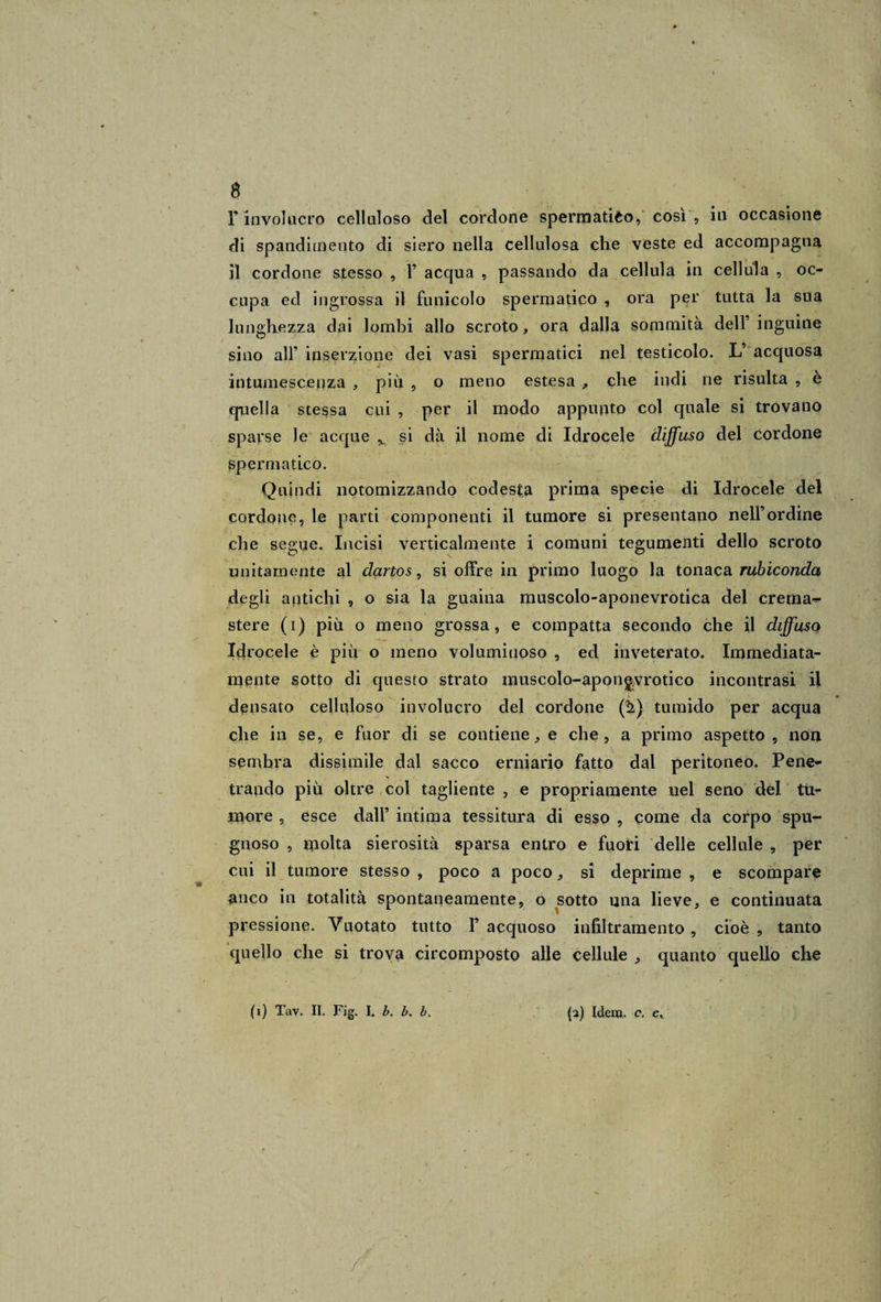 r involucro celluloso del cordone spermatico, cosi , in occasione di spandimento di siero nella cellulosa che veste ed accompagna il cordone stesso , P acqua , passando da cellula in cellula , oc¬ cupa ed ingrossa il funicolo spermatico , ora per tutta la sua lunghezza dai lombi allo scroto, ora dalla sommità dell’inguine sino all’ inserzione dei vasi spermatici nel testicolo. L’ acquosa intumescenza , più , o meno estesa , che indi ne risulta , è quella stessa cui , per il modo appunto col quale si trovano sparse Je acque ^ si dà il nome di Idrocele diffuso del cordone spermatico. Quindi notomizzando codesta prima specie di Idrocele del cordone, le parti componenti il tumore si presentano nell’ordine che segue. Incisi verticalmente i comuni tegumenti dello scroto unitamente al dartos, si offre in primo luogo la tonaca rubiconda degli antichi , o sia la guaina muscolo-aponevrotica dei crema- stere (i) più o meno grossa, e compatta secondo che il diffuso Idrocele è più o meno voluminoso , ed inveterato. Immediata¬ mente sotto di questo strato muscolo-apongvrotico incontrasi il densato celluloso involucro del cordone (^) tumido per acqua che in se, e fuor di se contiene, e che, a primo aspetto , non sembra dissimile dal sacco erniario fatto dal peritoneo. Pene¬ trando più oltre col tagliente , e propriamente nel seno del tu¬ more , esce dall’ intima tessitura di esso , come da corpo spu¬ gnoso , molta sierosità sparsa entro e fuoti delle cellule , per cui il tumore stesso , poco a poco, si deprime , e scompare anco in totalità spontaneamente, o sotto una lieve, e continuata pressione. Vuotato tutto F acquoso infiltramento , cioè , tanto quello che si trova circomposto alle cellule , quanto quello che (i) Tav. II. Fig. I. b. b. b. (2) Idem. c. 1