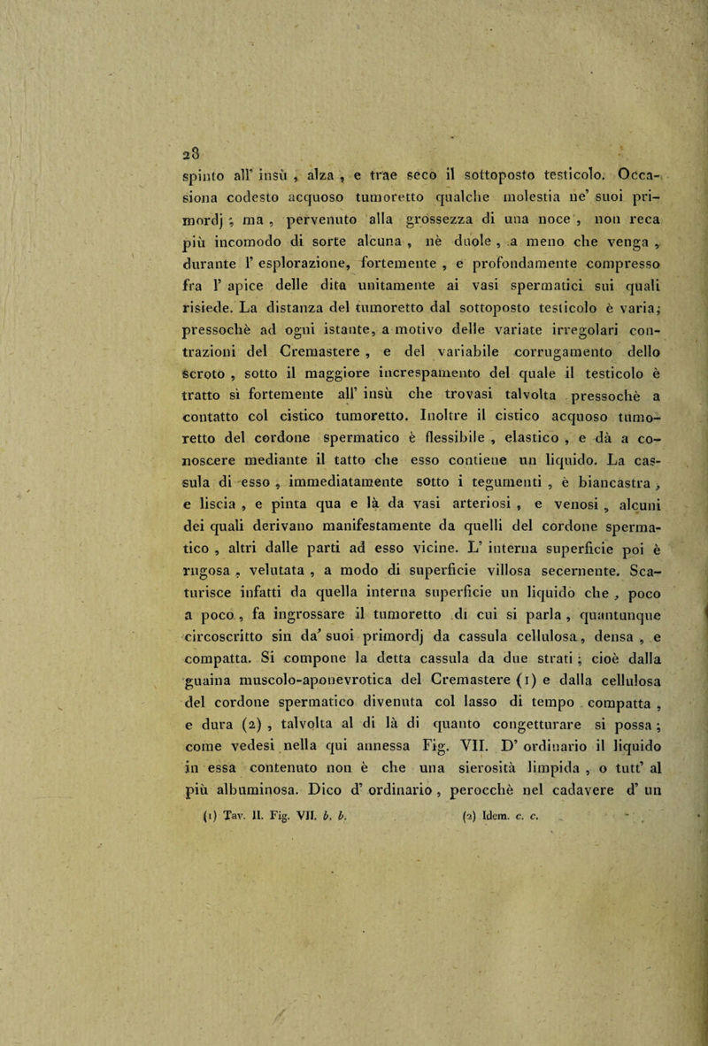 spinto alF insù , alza , e trae seco il sottoposto testìcolo. Occa¬ siona codesto acquoso tumoretto qualche molestia ne’ suoi pri- mordj ; ma, pervenuto alla grossezza di una noce , non reca più incomodo di sorte alcuna , nè duole , a meno che venga , durante 1’ esplorazione, fortemente , e profondamente compresso fra P apice delle dita unitamente ai vasi spermatici sui quali risiede. La distanza del tumoretto dal sottoposto testicolo è varia; pressoché ad ogni istante, a motivo delle variate irregolari con¬ trazioni del Cremastere , e del variabile corrugamento dello scroto , sotto il maggiore increspamento del quale il testicolo è tratto sì fortemente all’ insù che trovasi talvolta pressoché a contatto col cistico tumoretto. Inoltre il cistico acquoso tumo¬ retto del cordone spermatico è flessibile , elastico , e dà a co¬ noscere mediante il tatto che esso contiene un liquido. La cas¬ sula di esso , immediatamente sotto i tegumenti , è biancastra , e liscia , e pinta qua e là da vasi arteriosi , e venosi 9 alcuni dei quali derivano manifestamente da quelli del cordone sperma¬ tico , altri dalle parti ad esso vicine. L’ interna superficie poi è rugosa , velutata , a modo di superficie villosa secernente. Sca¬ turisce infatti da quella interna superficie un liquido che , poco a poco , fa ingrossare il tumoretto di cui si parla , quantunque circoscritto sin da' suoi primordj da cassula cellulosa, densa, e compatta. Si compone la detta cassula da due strati ; cioè dalla guaina muscolo-aponevrotica del Cremastere (i) e dalla cellulosa del cordone spermatico divenuta col lasso di tempo compatta , e dura (2) , talvolta al di là di quanto congetturare si possa ; come vedesi nella qui annessa Fig. VII. D’ ordinario il liquido in essa contenuto non è che una sierosità limpida , o tutt’ al più albuminosa. Dico d’ ordinario , perocché nel cadavere d’ un (1) Tav. II. Fig. VII. b. b. (2) Idem. c. c. ~