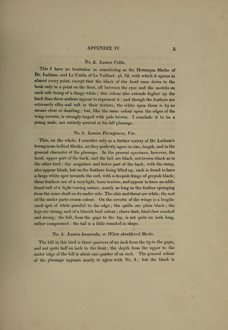 No. 2. Lanins Cubla. 1 his I have no hesitation in considering as the Hottniqua Shrike of Dr. Latham, and Le Cubla of Le Vaillant, pi. 72, with which it agrees in almost every point, except that the black of the head runs down to the beak only in a point on the front, all between the eyes and the nostrils on each side being of a dingy white ; this colour also extends higher up the back than these authors appear to represent it; and though the feathers are extremely silky and soft in their texture, the white upon them is by no means clear or dazzling; but, like the same colour upon the edges of the wing coverts, is strongly tinged with pale brown. I conclude it to be a young male, not entirely arrived at his full plumage. No. 3. Lanins Ferrugineus, Var. This, on the whole, I consider only as a further variety of Dr. Latham’s ferruginous bellied Shrike, as they perfectly agree in size, length, and in the general character of the plumage. In the present specimen, however, the head, upper part of the back, and the tail, are black, not brown-black as in the other bird ; the scapulars and lower part of the back, with the rump, also appear black, but on the feathers being lifted up, each is found to have a large white spot towards the end, with a deepish fringe of greyish black; these feathers are of a very light, loose texture, and appear to have an addi¬ tional tuft of a light waving nature, nearly as long as the feather springing from the same shaft on its under side. The chin and throat are white, the rest of the under parts cream colour. On the coverts of the wings is a length¬ ened spot of white parallel to the edge ; the quills are plain black ; the legs are strong, and of a blueish lead colour ; claws dark, hind claw crooked and strong; the bill, from the gape to the tip, is not quite an inch long, rather compressed ; the tail is a little rounded in shape. No. 4. Lanins humeralis, or White shouldered Shrike. The bill in this bird is three quarters of an inch from the tip to the gape, and not quite half an inch to the front; the depth from the upper to the under edge of the bill is about one quarter of an inch. The general colour of the plumage appears nearly to agree with No. 3; but the black is