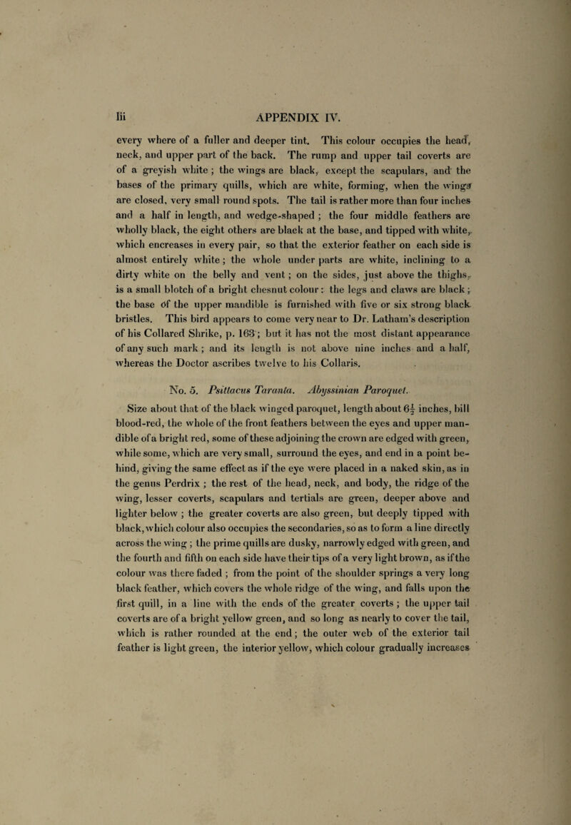 every where of a fuller and deeper tint. This colour occupies the head, neck, and upper part of the back. The rump and upper tail coverts are of a greyish white ; the wings are blacky except the scapulars, and the bases of the primary quills, which are white, forming, when the wing^ are closed, very small round spots. The tail is rather more than four inches and a half in length, and wedge-shaped ; the four middle feathers are wholly black, the eight others are black at the base, and tipped with white, which encreases in every pair, so that the exterior feather on each side is almost entirely white; the whole under parts are white, inclining to a dirty white on the belly and vent; on the sides, just above the thighs,, is a small blotch of a bright chesnut colour: the legs and claws are black • the base (>f the upper mandible is furnished with five or six strong black bristles. This bird appears to come very near to Dr. Latham’s description of his Collared Shrike, p. 163 ; but it has not the most distant appearance of any such mark ; and its length is not above nine inches and a half, whereas the Doctor ascribes twelve to his Collaris. No. o. Psitlacus Taranla. Abyssinian Paroquet. Size about that of the black winged paroquet, length about inches, bill blood-red, the whole of the front feathers between the eyes and upper man¬ dible of a bright red, some of these adjoining the crown are edged with green, while some, which are very small, surround the eyes, and end in a point be¬ hind, giving the same effect as if the eye were placed in a naked skin, as in the genus Perdrix ; the rest of the head, neck, and body, the ridge of the wing, lesser coverts, scapulars and tertials are green, deeper above and lighter below ; the greater coverts are also green, but deeply tipped with black, which colour also occupies the secondaries, so as to form a line directly across the wing ; the prime quills are dusky, narrowly edged with green, and the fourth and fifth on each side have their tips of a very light brown, as ifthe colour was there faded ; from the point of the shoulder springs a very long black feather, which covers the whole ridge of the wing, and falls upon the first quill, in a line with the ends of the greater coverts ; the upper tail coverts are of a bright yellow green, and so long as nearly to cover the tail, which is rather rounded at the end; the outer web of the exterior tail feather is light green, the interior yellow, which colour gradually increases
