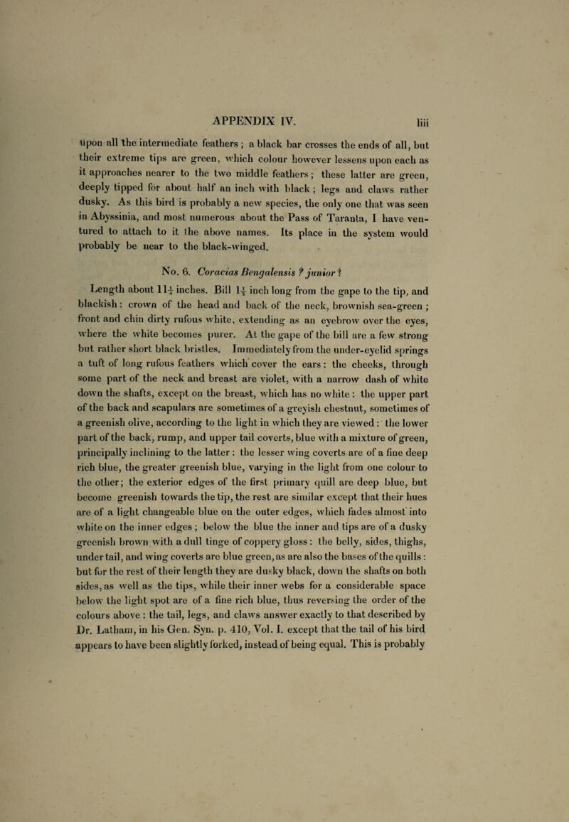 Upon all the intermediate feathers ; a black bar crosses the ends of all, but their extreme tips are green, which colour however lessens upon each as it approaches nearer to the two middle feathers; these latter are green, deeply tipped for about half an inch with black ; legs and claws rather dusky. As this bird is probably a new species, the only one that was seen in Abyssinia, and most numerous about the Pass of Taranta, I have ven¬ tured to attach to it the above names. Its place in the system would probably be near to the black-winged. No. 6. Coracias Bengalensis ? junior 1 Length about 114 inches. Bill l-£ inch long from the gape to the tip, and blackish: crown of the head and back of the neck, brownish sea-green : front and chin dirty rufous white, extending as an eyebrow over the eyes, where the white becomes purer. At the gape of the bill are a few strong but rather short black bristles. Immediately from the under-eyelid springs a tuft of long rufous feathers which cover the ears: the cheeks, through some part of the neck and breast are violet, with a narrow dash of white down the shafts, except on the breast, w hich has no white : the upper part of the back and scapulars are sometimes of a greyish chestnut, sometimes of a greenish olive, according to the light in which they are viewed: the lower part of the back, rump, and upper tail coverts, blue with a mixture of green, principally inclining to the latter : the lesser wdng coverts are of a fine deep rich blue, the greater greenish blue, varying in the light from one colour to the other; the exterior edges of the first primary quill are deep blue, but become greenish towrards the tip, the rest are similar except that their hues are of a light changeable blue on the outer edges, which fades almost into white on the inner edges ; below the blue the inner and tips are of a dusky greenish brown with a dull tinge of coppery gloss : the belly, sides, thighs, under tail, and wing coverts are blue green, as are also the bases of the quills: but fur the rest of their length they are dusky black, down the shafts on both sides, as w ell as the tips, while their inner webs for a considerable space below7 the light spot are of a fine rich blue, thus reversing the order of the colours above : the tail, legs, and claw s answ’er exactly to that described by Dr. Latham, in his Gen, Syn. p. 410, Vol. I. except that the tail of his bird appears to have been slightly forked, instead of being equal. This is probably