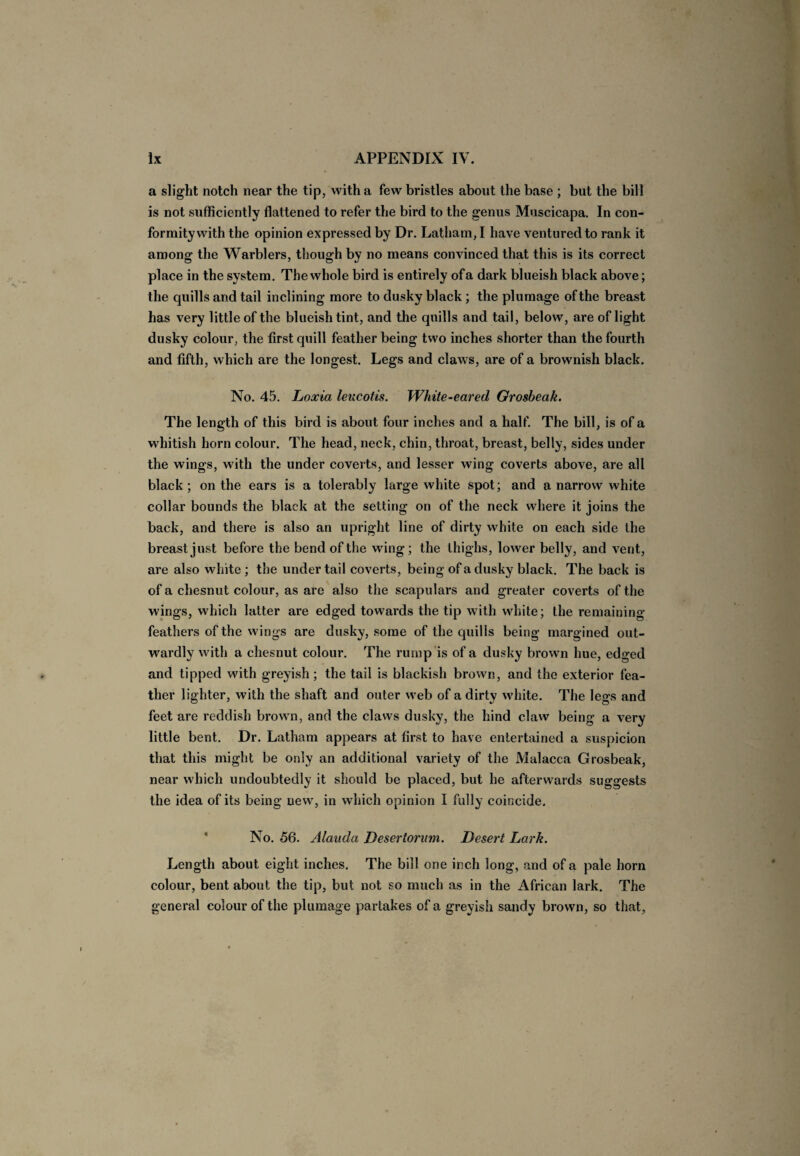 a slight notch near the tip, with a few bristles about the base ; but the bill is not sufficiently flattened to refer the bird to the genus Muscicapa. In con¬ formity with the opinion expressed by Dr. Latham, I have ventured to rank it among the Warblers, though by no means convinced that this is its correct place in the system. The whole bird is entirely of a dark blueish black above; the quills and tail inclining more to dusky black; the plumage of the breast has very little of the blueish tint, and the quills and tail, below, are of light dusky colour, the first quill feather being two inches shorter than the fourth and fifth, which are the longest. Legs and claws, are of a brownish black. No. 45. Loxia leucotis. White-eared Grosbeak. The length of this bird is about four inches and a half. The bill, is of a whitish horn colour. The head, neck, chin, throat, breast, belly, sides under the wings, with the under coverts, and lesser wing coverts above, are all black; on the ears is a tolerably large white spot; and a narrow white collar bounds the black at the setting on of the neck where it joins the back, and there is also an upright line of dirty white on each side the breast just before the bend of the wing; the thighs, lower belly, and vent, are also white ; the under tail coverts, being of a dusky black. The back is of a chesnut colour, as are also the scapulars and greater coverts of the wings, which latter are edged towards the tip with white; the remaining feathers of the wings are dusky, some of the quills being margined out¬ wardly with a chesnut colour. The rump is of a dusky brown hue, edged and tipped with greyish; the tail is blackish brown, and the exterior fea¬ ther lighter, with the shaft and outer web of a dirty white. The legs and feet are reddish brown, and the claws dusky, the hind claw being a very little bent. Dr. Latham appears at first to have entertained a suspicion that this might be only an additional variety of the Malacca Grosbeak, near which undoubtedly it should be placed, but he afterwards suggests the idea of its being uevv, in which opinion I fully coincide. No. 56. Alauda Desertorum. Desert Lark. Length about eight inches. The bill one inch long, and of a pale horn colour, bent about the tip, but not so much as in the African lark. The general colour of the plumage partakes of a greyish sandy brown, so that,