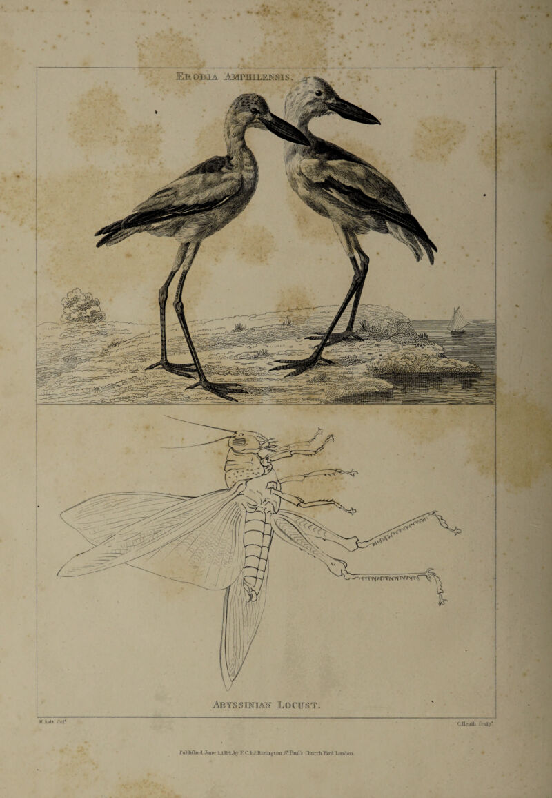 AJBYSSIMAW JLQCHJSTo i Jf.SAlt a el1 C. Heath fculp* i’ ahliflifd .Tune l, lSld, In T. C. & J. K ivuny t on. S* Rutl s Church Yard Lon don.