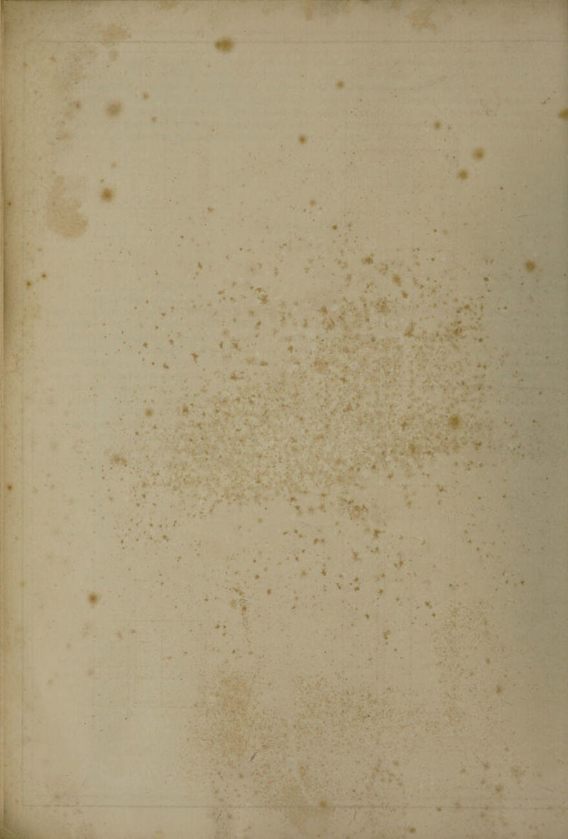 * ■ T - - « * ' t < ' * % ■ - < * 1.. ’ , i r '; X* 4 .. * * * **. ’ T. < ' V * V * * * ■■ * 4 TQ* 4 ^ •' * r * % . *• &amp; #•’ . ,• '- ,»r .- • . •- . •■.* * ; ■ • . - • * I * * < • - 8* . . 0 • ' 4 ^ ^ t ^ f • f. * t ' * I ^