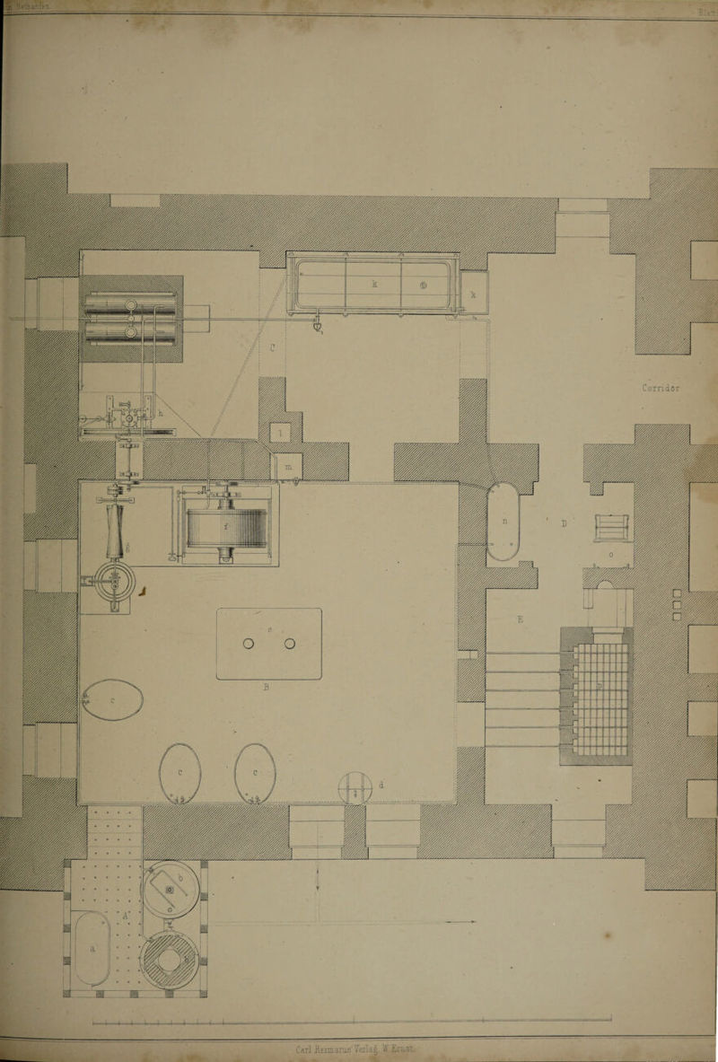 hi 'if.'d' >: Carl Reimanus' VefLai. ¥. Erus:. _ _