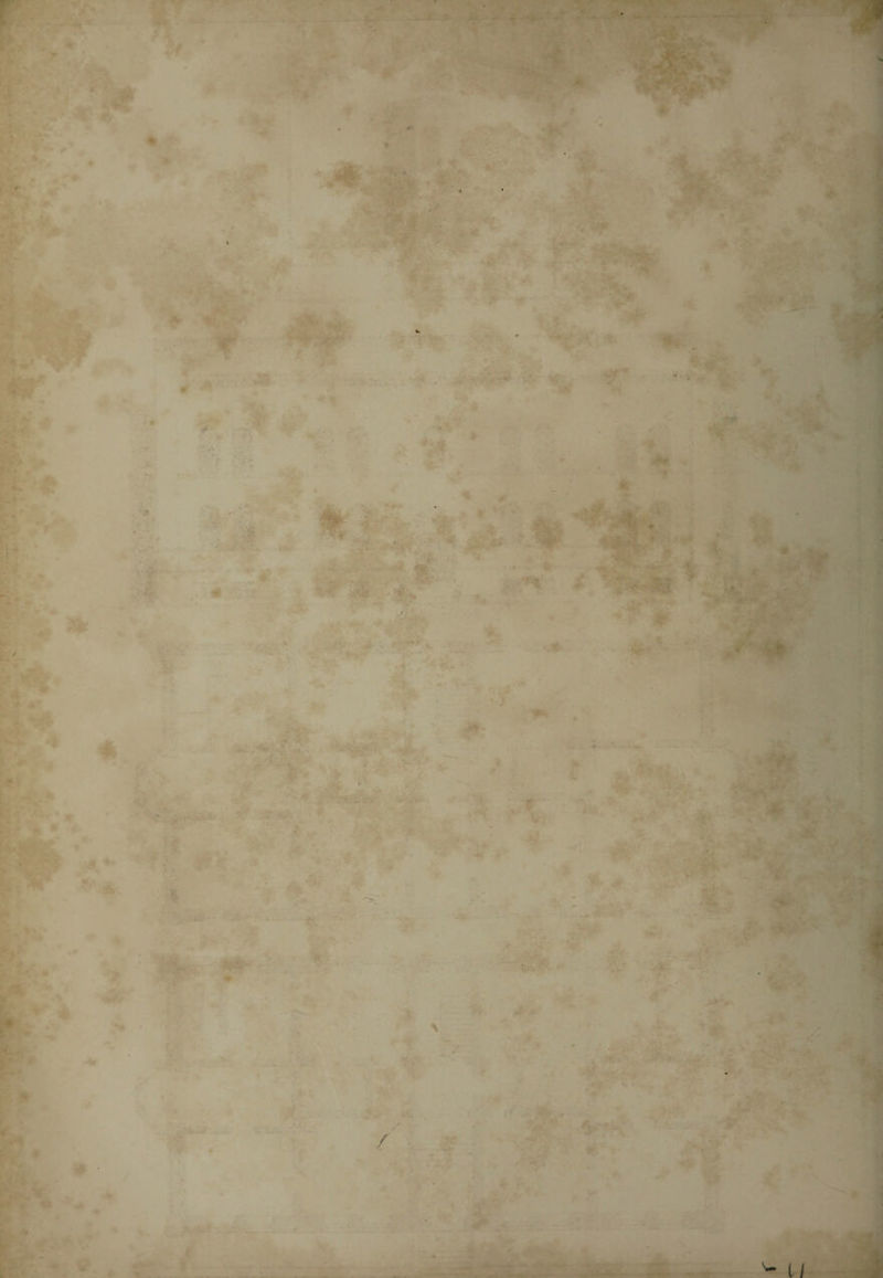 s f . » * iß Jf ' • > - V- *■ , * * *'* * • .