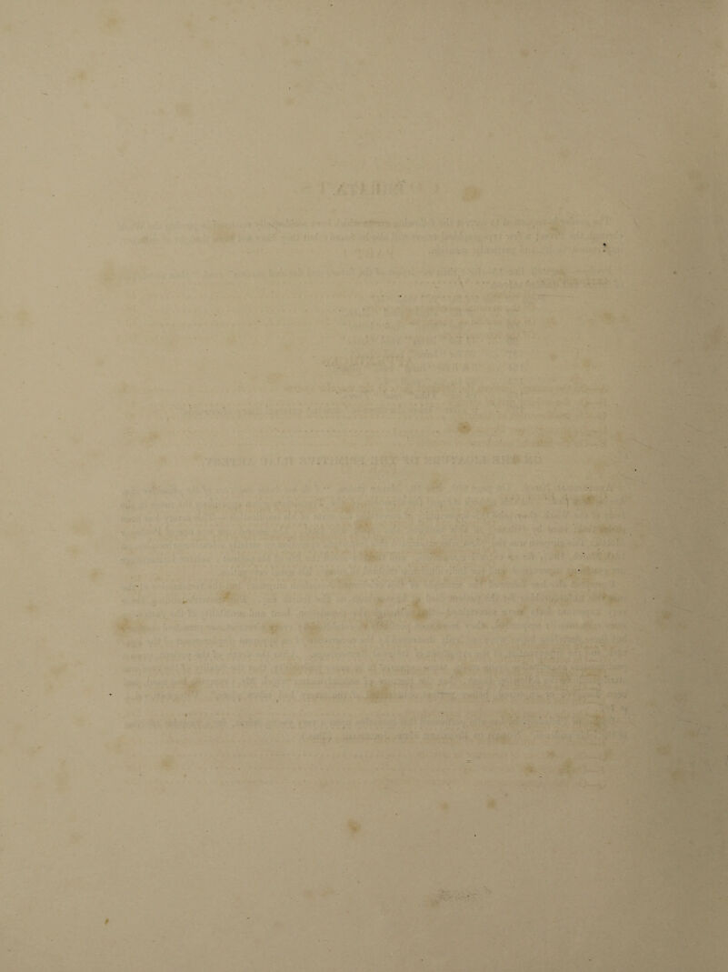 . ' < . ' 9 ' ' — • *• r*> - » ' • • r * ' < ■ ' . ■ ' - • • 1 f . - t * - * .... - • ’ - ' 1 . \ ■ W • ' W % • '■ '. ■ . : ■ . *- '