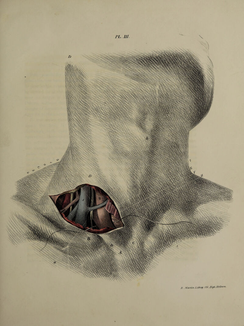 PL. in \ \ j SÿW ;SMS3 ^>fev >• A5; -V, ÿ M !§&• #% -; ■ :'■■ Vi^ j;£’j5gvSj6?: 74$&s' )-S:''‘ • >:■•.. x:%. *•- ■ *.'t'.-'*£.'E-;fa Ji»?*' >5* ...^?rz: ‘ Rsl fc^K-T-.v :»**>*£> jfe, $ ^ y? Martin, Lithog 124, ffvgh Holbom