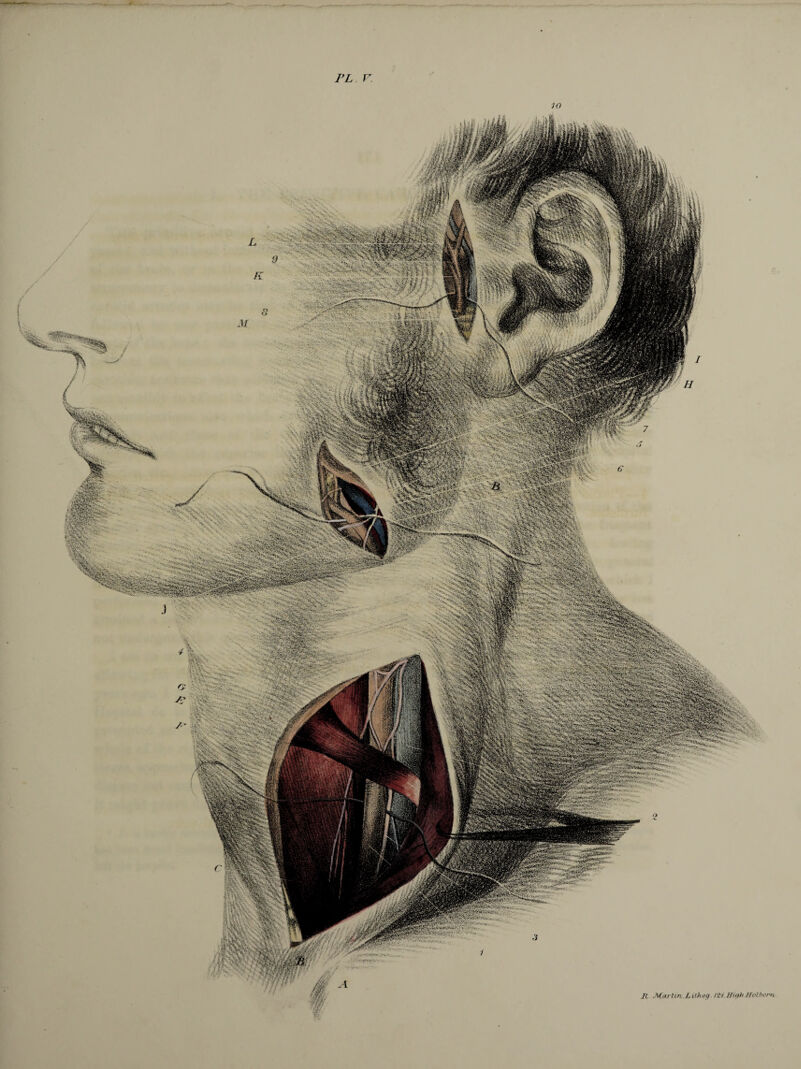 PL V. R Marlin .LUkog. IM H nth Holborn