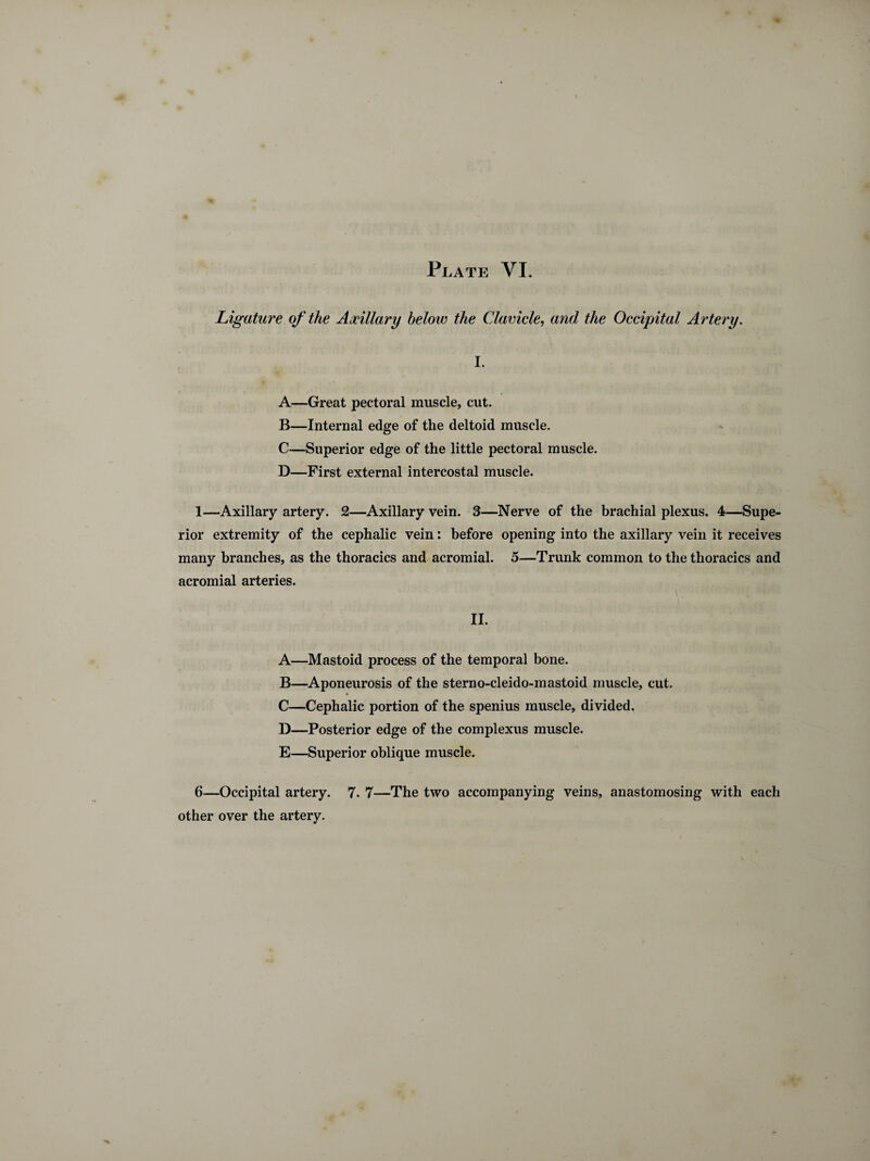 Plate VI. Ligature of the Axillary below the Clavicle, and the Occipital Artery. I. A—Great pectoral muscle, cut. B—Internal edge of the deltoid muscle. C—Superior edge of the little pectoral muscle. D—First external intercostal muscle. 1—Axillary artery. 2—Axillary vein. 3—Nerve of the brachial plexus. 4—Supe¬ rior extremity of the cephalic vein : before opening into the axillary vein it receives many branches, as the thoracics and acromial. 5—Trunk common to thethoracics and acromial arteries. II. A—Mastoid process of the temporal bone. B—Aponeurosis of the sterno-cleido-mastoid muscle, cut. ♦ C—Cephalic portion of the spenius muscle, divided. D—Posterior edge of the complexus muscle. E—Superior oblique muscle. 6—Occipital artery. 7. 7—The two accompanying veins, anastomosing with each other over the artery.