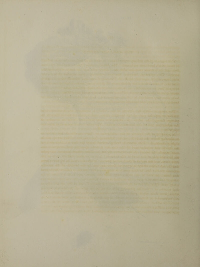 * • * v ' ■ • “ Ki-Mi , *» ■ ,j rvv -, . •; ■