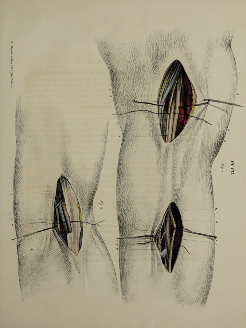 H AInrUn !jilhoif. 1'14,HighH»lb»rn ‘0:fu
