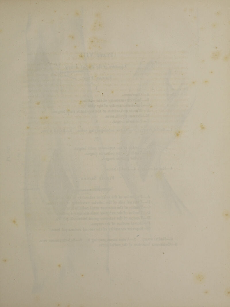 * r « i MlÉf m II * - * ' •%