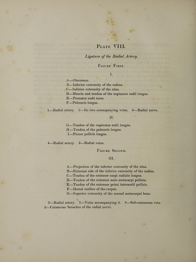 Plate VIII. Ligature of the Radial Artery. Figure First. I. A—Olecranon. B—Inferior extremity of the radius. C—Inferior extremity of the ulna. D—Muscle and tendon of the supinator radii longus. E—Pronator radii teres. F—Palmaris longus. 1—Radial artery. CZ—Its two accompanying veins. 3—Radial nerve. II. G—Tendon of the supinator radii longus. H—Tendon of the palmaris longus. I—Flexor pollicis longus. 4—Radial artery. 5—Radial veins. Figure Second. III. A—Projection of the inferior extremity of the ulna. B—External side of the inferior extremity of the radius. C—Tendon of the extensor carpi radialis longus. D—Tendon of the extensor assis metacarpi pollicis. E—Tendon of the extensor primi internodii pollicis. F—Dorsal surface of the carpus. G—Superior extremity of the second metacarpal bone. 6—Radial artery. 7—Veins accompanying it. 8—Sub-cutaneous vein. 9—Cutaneous branches of the radial nerve.