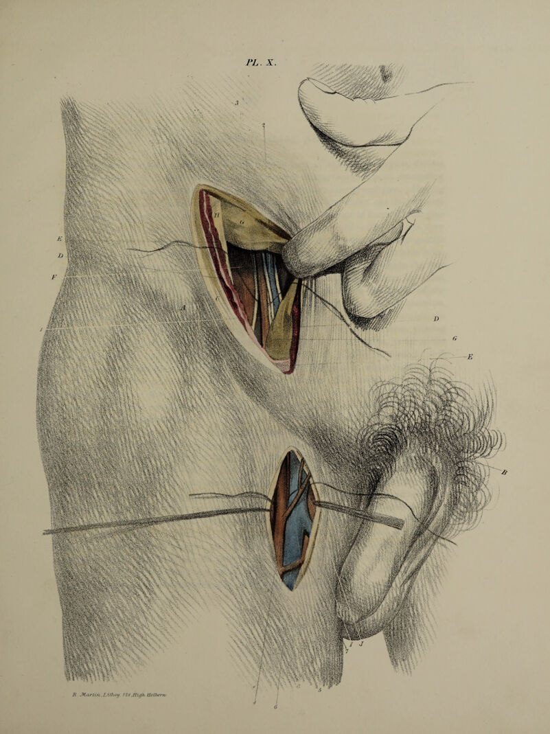 mm ■3v:v; y?#.:- v «il» ;< fi'ï •?, îw&sbwwï f8J»if «■>«»&»?» :#sBg! as « i Imlfe. i\:t$3w-r*&i'>.' ï>.;: -1 «1-3 'ts W$ïw>8i'îr.*4C -A- ••-/ *.,*» ,- #SS8»§ : •' %: • -m: 4s$ÏPK~»* '•> - • ;- ' ■•<'ÿ:5S'“-iu' ,-'i. - «oéi#? ■•' -' ••' • • *£- '*j “i.-tv'rî V’ç-l v.• -Vi.-- ***,'/ •*;•.• • Élk ■ ^-3. IKartin, L ith>oy 124 lioUbom/ ! G