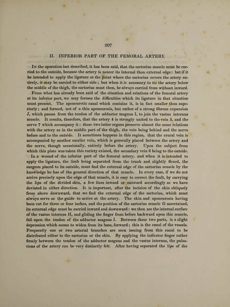 II. INFERIOR PART OF THE FEMORAL ARTERY. In the operation last described, it has been said, that the sartorius muscle must be car¬ ried to the outside, because the artery is nearer its internal than external edge: but if it be intended to apply the ligature at the point where the sartorius covers the artery en¬ tirely, it may be carried to either side ; but when it is necessary to tie the artery below the middle of the thigh, the sartorius must then, be always carried from without inward. From what has already been said of the situation and relations of the femoral artery at its inferior part, we may foresee the difficulties which its ligature in that situation must present. The aponeurotic canal which contains it, is in fact smaller than supe¬ riorly ; and formed, not of a thin aponeurosis, but rather of a strong fibrous expansion J, which passes from the tendon of the adductor magnus I, to join the vastus internus muscle. It results, therefore, that the artery 4 is strongly united to the vein 5, and the nerve 7 which accompany it : these two latter organs preserve almost the same relations with the artery as in the middle part of the thigh, the vein being behind and the nerve before and to the outside. It sometimes happens in this region, that the crural vein is accompanied by another smaller vein, which is generally placed between the artery and the nerve, though occasionally, entirely before the artery. Upon the subject from which this plate was taken this variety existed, the secondary vein 6 being to the outside. In a wound of the inferior part of the femoral artery, and when it is intended to apply the ligature, the limb being separated from the trunk and slightly flexed, the surgeon placed to its outside, must find the external edge of the sartorius muscle by the knowledge he has of the general direction of that muscle. In every case, if we do not arrive precisely upon the edge of that muscle, it is easy to correct the fault, by carrying the lips of the divided skin, a few lines inward or outward accordingly as we have deviated in either direction. It is important, after the incision of the skin obliquely from above downward, that we find the external edge of the sartorius, which must always serve as the guide to arrive at the artery. The skin and aponeurosis having been cut for three or four inches, and the position of the sartorius muscle G ascertained, its external edge must be carried inward and downward : we then see the internal surface of the vastus internus H, and gliding the finger from before backward upon this muscle, fall upon the tendon of the adductor magnus I. Between these two parts, is a slight depression which seems to widen from its base, forward ; this is the canal of the vessels. Frequently one or two arterial branches are seen issuing from this canal to be distributed either to the sartorius or the skin. By applying the indicator finger rather firmly between the tendon of the adductor magnus and the vastus internus, the pulsa¬ tions of the artery can be very distinctly felt. After having separated the lips of the