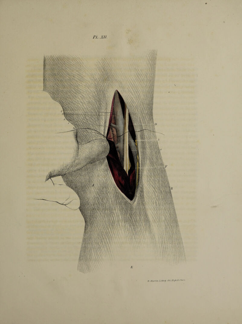 & n. jj! K Marlin Lvthrtg Ifuih //< Ihont