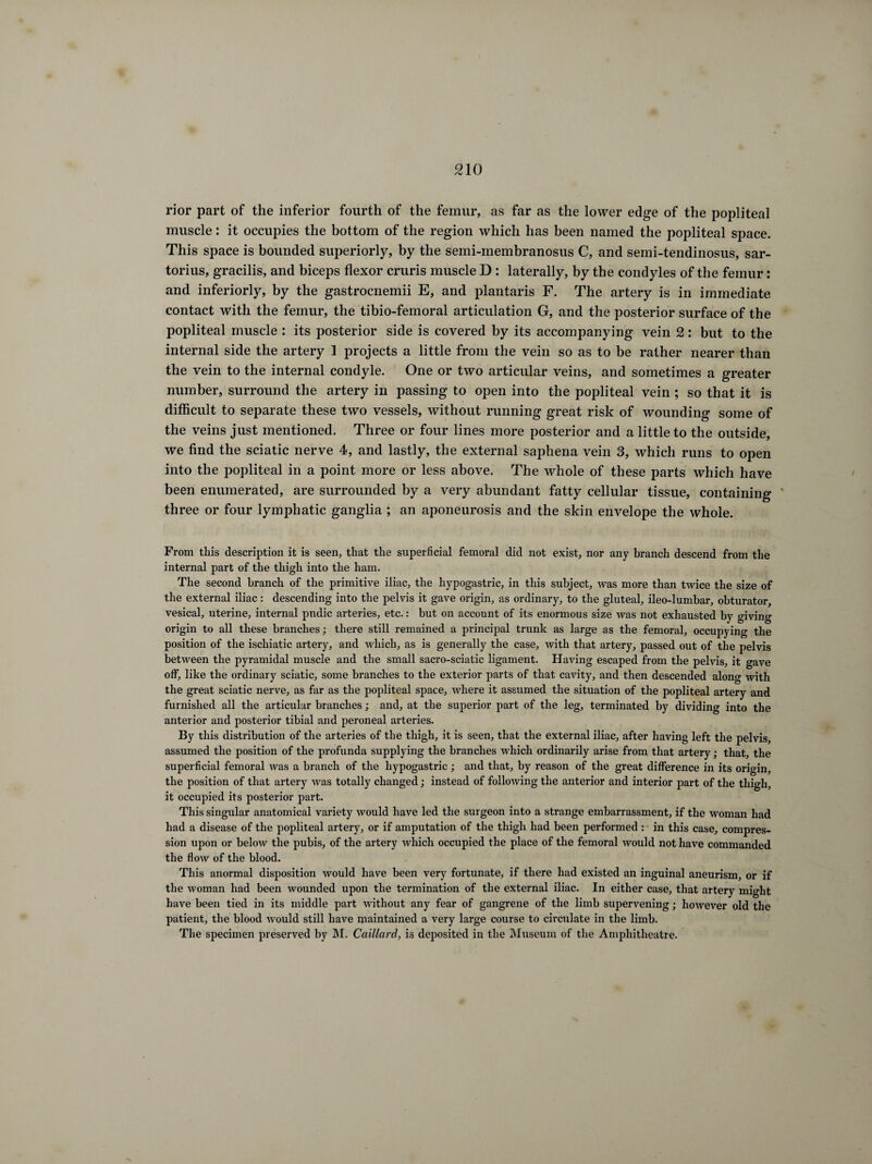 rior part of the inferior fourth of the femur, as far as the lower edge of the popliteal muscle : it occupies the bottom of the region which has been named the popliteal space. This space is bounded superiorly, by the semi-inembranosus C, and semi-tendinosus, sar- torius, gracilis, and biceps flexor cruris muscle D : laterally, by the condyles of the femur : and inferiorly, by the gastrocnemii E, and plantaris F. The artery is in immediate contact with the femur, the tibio-femoral articulation G, and the posterior surface of the popliteal muscle : its posterior side is covered by its accompanying vein 2 : but to the internal side the artery 1 projects a little from the vein so as to be rather nearer than the vein to the internal condyle. One or two articular veins, and sometimes a greater number, surround the artery in passing to open into the popliteal vein ; so that it is difficult to separate these two vessels, without running great risk of wounding some of the veins just mentioned. Three or four lines more posterior and a little to the outside, we find the sciatic nerve 4, and lastly, the external saphena vein 3, which runs to open into the popliteal in a point more or less above. The whole of these parts which have been enumerated, are surrounded by a very abundant fatty cellular tissue, containing three or four lymphatic ganglia ; an aponeurosis and the skin envelope the whole. From this description it is seen, that the superficial femoral did not exist, nor any branch descend from the internal part of the thigh into the ham. The second branch of the primitive iliac, the hypogastric, in this subject, was more than twice the size of the external iliac : descending into the pelvis it gave origin, as ordinary, to the gluteal, ileo-lumbar, obturator, vesical, uterine, internal pndic arteries, etc. : but on account of its enormous size was not exhausted by giving origin to all these branches ; there still remained a principal trunk as large as the femoral, occupying the position of the ischiatic artery, and which, as is generally the case, with that artery, passed out of the pelvis between the pyramidal muscle and the small sacro-sciatic ligament. Having escaped from the pelvis, it gave off, like the ordinary sciatic, some branches to the exterior parts of that cavity, and then descended along with the great sciatic nerve, as far as the popliteal space, where it assumed the situation of the popliteal artery and furnished all the articular branches ; and, at the superior part of the leg, terminated by dividing into the anterior and posterior tibial and peroneal arteries. By this distribution of the arteries of the thigh, it is seen, that the external iliac, after having left the pelvis, assumed the position of the profunda supplying the branches which ordinarily arise from that artery ; that, the superficial femoral was a branch of the hypogastric ; and that, by reason of the great difference in its origin, the position of that artery was totally changed ; instead of following the anterior and interior part of the thigh, it occupied its posterior part. This singular anatomical variety would have led the surgeon into a strange embarrassment, if the woman had had a disease of the popliteal artery, or if amputation of the thigh had been performed : in this case, compres¬ sion upon or below the pubis, of the artery which occupied the place of the femoral would not have commanded the flow of the blood. This anormal disposition would have been very fortunate, if there had existed an inguinal aneurism, or if the woman had been wounded upon the termination of the external iliac. In either case, that artery might have been tied in its middle part without any fear of gangrene of the limb supervening ; however old the patient, the blood would still have maintained a very large course to circulate in the limb. The specimen preserved by M. Gaillard, is deposited in the Museum of the Amphitheatre.