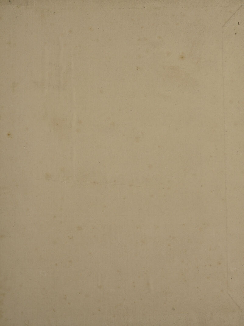 ’• • ' • : * ; ■ *