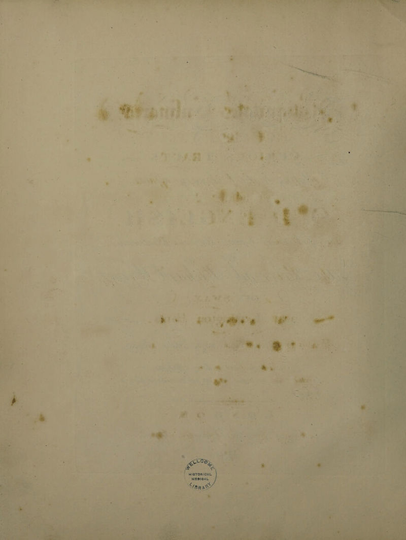 r > S-, » '' / I * t *' ;r * ♦ i A . *