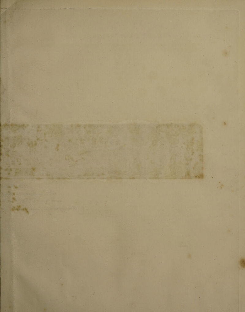 * . r % * . » ' ' ' t fc 4 f> % •. 1