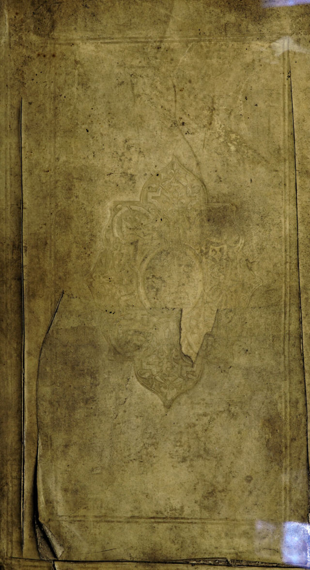 No text description is available for this image