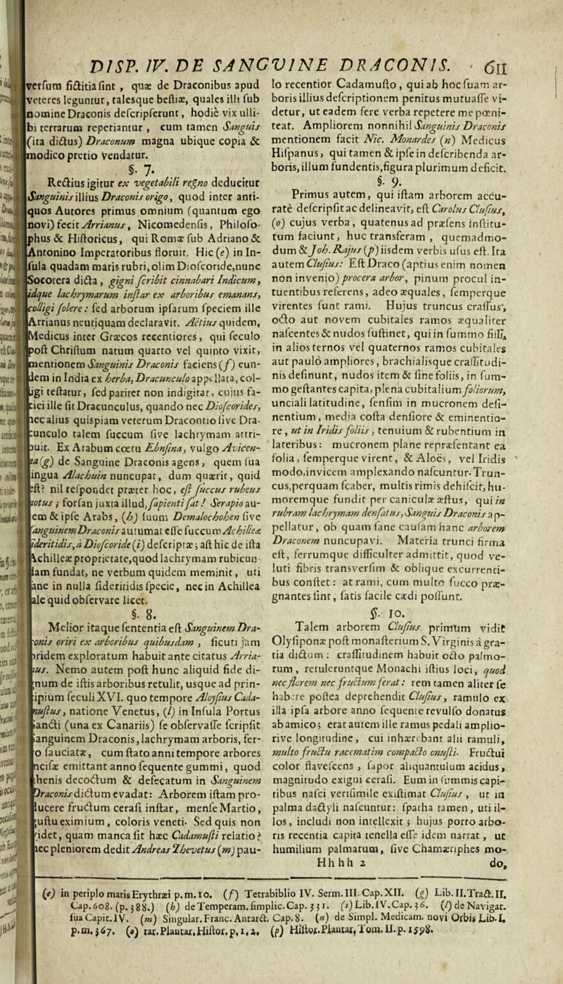 vetfum fi&amp;itiafint , quae dc Draconibus apud veteres leguntur, talesque beftiae, quales illi fub nomine Draconis defcripferunt, hodie vix ulli- bi terrarum reperiantur , cum tamen Sanguis (ita di6tu$) Draconum magna ubique copia &amp; lodico pretio Vendatur. §• 7* Re&amp;ius igitur ex vegetabili regno deducitur Sanguinis illius Draconis origo, quod inter anti¬ quos Autores primus omnium (quantum ego novi) fecit Arrianus t Nicomedenfis, Philofo- &gt;hus &amp; Hiftoricus, qui Romae fub Adriano &amp; mtonino Imperatoribus floruit. Hic (e) in In- |fula quadam maris rubri, olim Diofcoride.nunc iocorera di61 a, gigni Jcribit cinnabari Indicum, [idque lachrymarum tnjlar ex arboribus emanans, eotligi/olere: fed arborum ipfarum fpeciem ille irrianus neutiquam declaravit. Aetiusquidem, ledicus inter Graecos recentiores, qui feculo &gt;oft Chriftum natum quarto vel quinto vixit, »entionem Sanguinis Draconis faciens (/) eun- lem in India ex herba, Dracunculo appHlata, col- |Ligi teftatur, fed pariter non indigitar, cujus fa- hei ille fit Dracunculus, quando nec Diofcorides, lec alius quispiam veterum Dracontiolive Dra- lunculo talem fuccum live lachrymam attri- &gt;uit. Ex Arabum coetu Ebnflna, vulgo Avicen- Iw(g) de Sanguine Draconis agens, quem fua ingua Alachuin nuncupat, dum qugerit, quid nil refpondet praeter hoc, e/l fuccus rubeus potus i forfan juxta illud,/apientifat! Serapio au- tem &amp; ipfe Arabs, (h) luum Demalochohen five 'anguinem Draconis autumate fle fu ccum Achillea ideritidis, a Diofcoride (i) deferiptae; aft hic de i fla ichilleae proprietate,quod lachrymam rubieun lam fundat, ne verbum quidem meminit, uti |ane in nulla fideritidisfpecie, nec in Achillea fle quid obfervare licet. §• 8. Melior itaque fententia eft Sanguinem Dra~ |'onis oriri ex arboribus quibusdam , ficuti jam mdem exploratum habuit ante citatus Arria- }us. Nemo autem poft hunc aliquid fide di- ;num de iftis arboribus retulit, usque ad prin- :ipium feculiXVI. quo tempore Aloyfius Cada- vujlus, natione Venetus, (/) in Infula Portus *andi (una ex Canariis) fe obfervalTe fcripfit Ianguinem Draconis,lachrymam arboris, fer- o fauciatae, cum ftato anni tempore arbores icifae emittant anno fequente gummi, quod lihenis decodum &amp; defecatum in Sanguinem draconis SiCtum evadat: Arborem iftampro- lucere frudum cerafi inftar, menfeMartio, 'uftueximium, coloris veneti- Sed quis non fidet, quam manca fit haec Cadamufli relatio? lec pleniorem dedit Andreas Ihevetus {m) pau¬ lo recentior Cadamufto , qui ab hocfuam ar¬ boris illiusdeferiptionem penitus mutualTe vi¬ detur, ut eadem fere verba repetere me poeni- teat. Ampliorem nonnihil Sanguinis Draconis mentionem facit Nic. Monardes (n) Medicus Hifpanus &gt; qui tamen &amp; ipfe in defcribenda ar¬ boris, illum fundentis,figura plurimum deficit. $• % Primus autem, qui iftam arborem accu¬ rate defcripfit ac delineavit, efl Carolus Cluftust (o) cujus verba, quatenus ad praffiens inftitu- tum faciunt, huc transferam , quemadmo¬ dum &amp; Joh.Rajus(p) iisdem verbis ufus efl. Ita autem Clujius: Efl; Draco (aptius enim nomen non invenio) procera arbor, pinum procul in- tuentibus referens, adeo aequales, femperque virentes funt rami. Hujus truncus craflus', odo aut novem cubitales ramos sequaliter nafccntes&amp;nudos luftinet, qui in fummo fidi» in alios ternos vel quaternos ramos cubitales aut paulo ampliores, brachialisque craffitudi- nisdefinunt, nudos item&amp; fine foliis, in fum¬ mo geflantes capita, plena cubitalium foliorumy unciali latitudine, fenfim in mucronem deli¬ nentium , media cofta denfiore &amp; eminentio- re , ut in Iridis foliis, tenuium &amp; rubentium in lateribus: mucronem plane repraefentant ea folia, lemperque virent, &amp; Aloes, vel Iridis modo,invicem amplexando nafcuntur-Trun- cus,perquam fcaber, multis rimis dehifcir,hu- moremque fundit per canicula? affius, qui/# rubram lachrymam denfatus, Sanguis Draconis a p- pellatur, ob quam fane caufam hanc arborem Draconem nuncupavi. Materia trunci firma eft, ferrumque difficulter admittit, quod ve- luti fibris transverfim &amp; oblique excurrenti¬ bus conflet: at rami, cum multo fucco prae¬ gnantes lint, fatis facile cadi poliunt. §• io. Talem arborem Clujius primum vidit Olyfiponae poft monafterium S. Virginis a gra¬ tia di&amp;um : craffitudinem habuit edo palmo¬ rum , retuleruntque Monachi iftius loci, quod nec florem nec frudum ferat: rem tamen aliter fe hab re poftea deprehendit Clujius, ramulo ex illa ipfa arbore anno fcquemerevulfo donatus ab amico j erat autem ille ramus pedali amplio- rive longitudine, cui inhxrcbant alii ramuli, multo fruclu racematim compado cnufli- Frudui color flavefeens , fapor aliquantulum acidus, magnitudo exigui cerafi. Eum in fummis capi¬ tibus nafei verifimile exiftimat Clujius , ut in palma dadyii nafcuntur: fpatha tamen, uti il¬ los, includi non intellexit; hujus porto arbo¬ ris recentia capita tenella eflfe idem narrat, ut humilium palmarum, five Chamaeriphes mo- Hh h h 2 do. (e) in periplo maris Erythran p.m. io. (/) Tetrabiblio IV. Serm.III. Cap.XII. (g) Lib.II.Trad.ir. Cap.6o8. (p. 5 8 8.) (h) deTemperam.limplic.Cap. i. (/)Lib.iV.Cap. 36. (/) de Navigat. fuaCapic.1V. (m) Singular.Franc. Antard. Cap. 8. (») de Simpl. Medicam, novi Orbis JLib*I, p.m,567. (0) rar.Plautar.JHiftor.p,i,2, (p) Hiftof.PAantarfTom.ll.p.