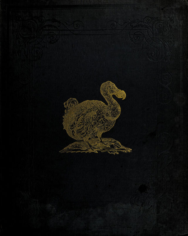 digitised image 1
