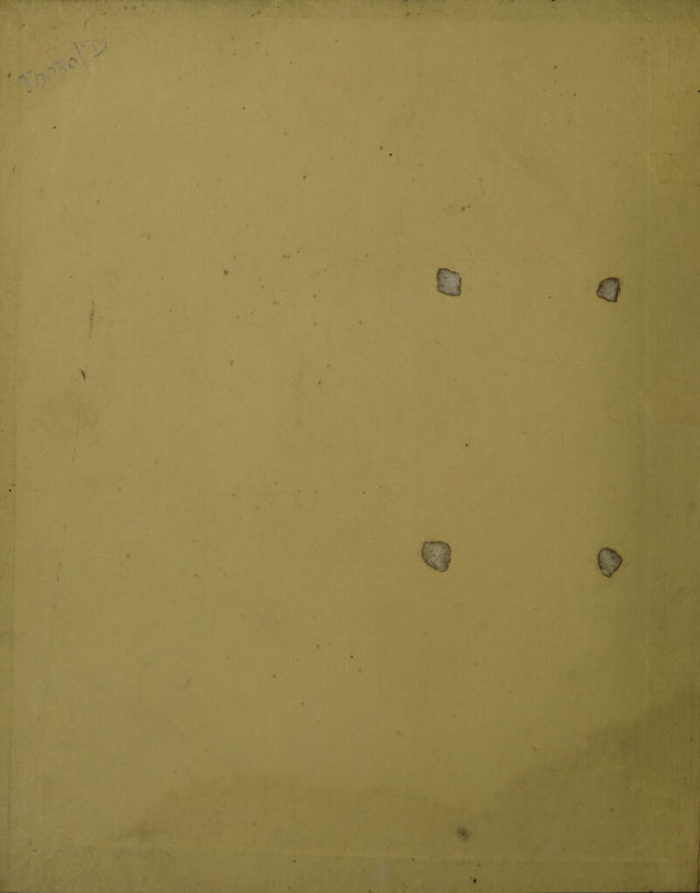 digitised image 2