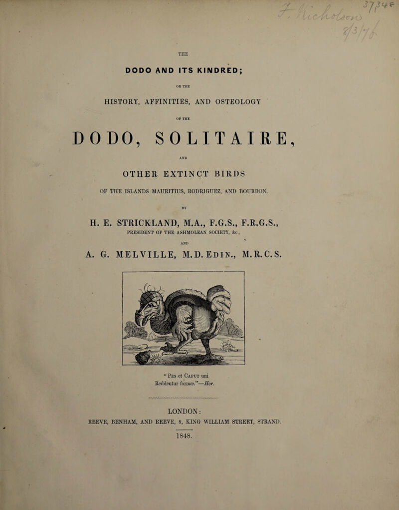 -Z- THE DODO AND ITS KINDRED; HISTORY, AFFINITIES, AND OSTEOLOGY OF THE DODO, SOLITAIRE, AND OTHER EXTINCT BIRDS OF THE ISLANDS MAURITIUS, RODRIGUEZ, AND BOURBON. BY H. E. STRICKLAND, M.A., F.G.S., F.R.G.S., PRESIDENT OP THE ASHMOLEAN SOCIETY, &amp;c„ AND A. G. MELVILLE, M.D.EDIN., M.R.C.S. “ Pes et Caput uni Reddentur formae.”—Hor. 3], /* f si V LONDON: REEVE, BENHAM, AND REEVE, 8, KING WILLIAM STREET, STRAND. 1848.