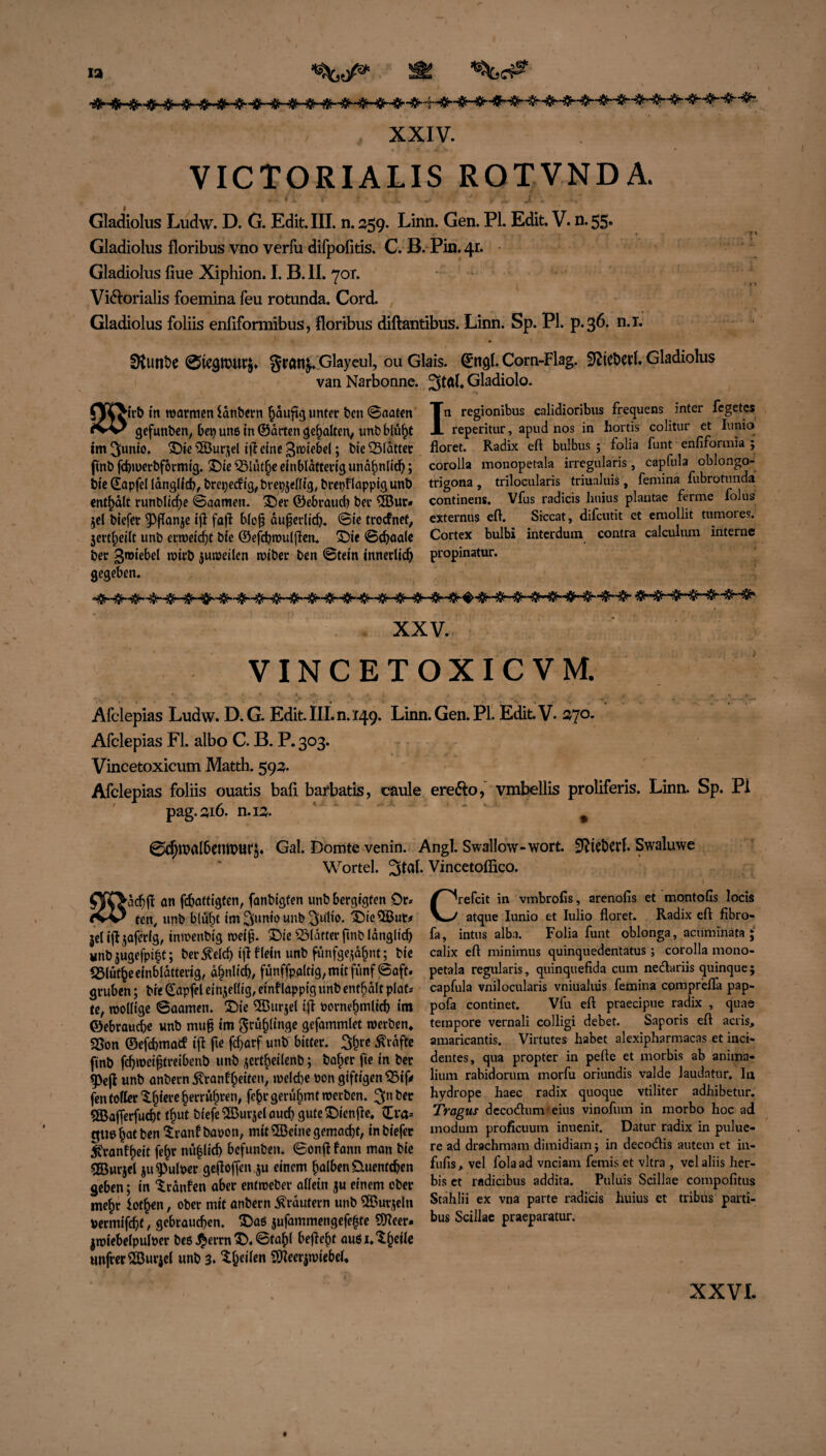 XXIV. VICTORIALIS ROTVNDA. - ■ *’ V r f .. J • . .*ty »,•... jt’\ 1 •* Gladiolus Ludw. D. G. Edit. III. n. 259. Linn. Gen. PL Edit. V. n. 55« Gladiolus floribus vno verfu difpofitis. C. B. Pin. 41. Gladiolus fiue Xiphion. I. B. II. 70t. Viftorialis foemina Leu rotunda. Cord. Gladiolus foliis enfiformibus, floribus diftantibus. Linn. Sp. PI. p.36. n.i. Sftunbe grfln^. Glayeul, ou Glais. €«9!. Corn-Flag. üftidtwl. Gladiolus van Narbonne. Gladiolo. o OflT^irb in warmen ianbern häufig unter ben ©aaten Tn regionibus calidioribus frequens inter fcgetcs gefunben, bet? uns in ©arten gehalten, unb blüht A reperitur, apud nos in hortis colitur et Iunio tm^unio. Die©ut5el ifieineßrciebel; bieQ3Iatter floret. Radix eft bulbus ; folia funt enfiformia ; fnbfcbwerbformtg. Die CßUithe einblätterig unähnlich; corolla monopetala irregularis, capfulaoblongo- tfle (£apfel länglich, bm)ecfig,brep5eflig,brepflapptg unb trigona, trilocularis triualuis, femina fubrotunda enthalt runbltcbe ©aameti. Der ©ebraucb bet ©ur» continens. Vfus radicis huius plautae ferme ioitis jel biefet ^fianje ifl faft biop äußerlich. ©ie trocfnet, externus eft. ^ Siccat, difcutit et emo lit tumores. jertheilt unb erweicht bie ©efcbroulfien. Die ©cbaale Cortex bulbi interduin contra calculum interne bet ßroiebel roict> juweilen wiber ben ©tein innerlich propinatur. gegeben. XXV. VINCETOXICVM. Afclepias Ludw. D.G. Edit. III. n. 149. Linn. Gen. PL EditV. 370* Afclepias FL albo C. B. P. 303. Vincetoxicum Matth. 592. Afclepias foliis ouatis bafi. barbatis, caule ere&o, vmbellis proliferis. Linn. Sp. PI pag.216. n.12. 9 ©cfjtnalbempurj. Gal. Domte venin. Angl. Swallow-wort. SRteDetL Swaluwe Wortei. ^tal. Vincetoffico. dcf|f ön febattigten, fanbigten unbbergigfen Dt» ten, unb blüht im ^unio unb Su’lio. Die©ur> jet ijt jafetig, inmenbtg weih- Die Blatter jinb länglich unb jugefpi|t; bet Äelc& tjH(ein unb funfge(^nt; bie SMütbe einblätterig, d^nlt<^# fünffpaitig, mit fünf ©oft» gruben; bie (Eapfel einseitig, etnf lappig unb enthalt plaf» U, mollige ©aamen. Die ®urjel iji Pornehmltfb im ©ebrauefe unb mu§ im $rtif)linge gefammlet werben. 35on ©efebmaef ift |te fefarf unb bitter. 3hr* £™fte finb fdjwetjjtrabenb unb jectbeilenb; habet fte in bet 9>eji unb anbern$ranfheiten, welche Pon giftigen 55if* fentofIec^bi«l'e^el'r^ven» febt gerühmt werben. ©afferfuebt tim* biefe©ursel auch gute Dienfle. £ra» gU0bat&en $ranfbapon, mit ©eine gemacht, in biefet Jranfheit febt nü|lid) befunben. ©onflfann man bie ©urjel ju$)ulper ge.fi0ffen .5u einem halben Üuentcben geben; in ‘Sränfen aber entmeber allein pi einem ober mehr f othen, ober mit anbern Krautern unb ©utseln permifebt, gebraueben. Dag 5ufammengefef3te ©eer. jmiebelpulper beß $errn D. ©tabl befiebt außi.^hdle Mnfrer©ui*ie( unb 3. D&eifen ©eerjwiebeh Crefcit in vmbroßs, arenofis et montofis locis atque Iunio et Iulio floret. Radix eft fibro- fa, intus alba. Folia funt oblonga, acuminata ; calix eft minimus quinquedentatus; corolla mono¬ petala regularis, quinquefida cum nectariis quinque; capfula vnilocularis vniualuis femina comprefta pap- pofa continet. Vfu eft praecipue radix , quae tempore vernali colligi debet. Saporis eft acris, amaricantis. Virtutes habet alexipharmacas et inci- dentes, qua propter in pefte et morbis ab anima- lium rabidorum morfu oriundis valde laudatur. In hydrope haec radix quoque vtiliter adhibetur. Tragus decodhmveius vinofum in morbo hoc ad modum profieuum inuenit. Datur radix in pulue- re ad drachmam dimidiam j in decodtis autem et in- fufis, vel folaad vnciam femis et vltra , velaliis her- bis et radicibus addita. Puluis Scillae compolitus Stahlii ex vna parte radicis huius et tribus parti- bus Scillae praeparatur.