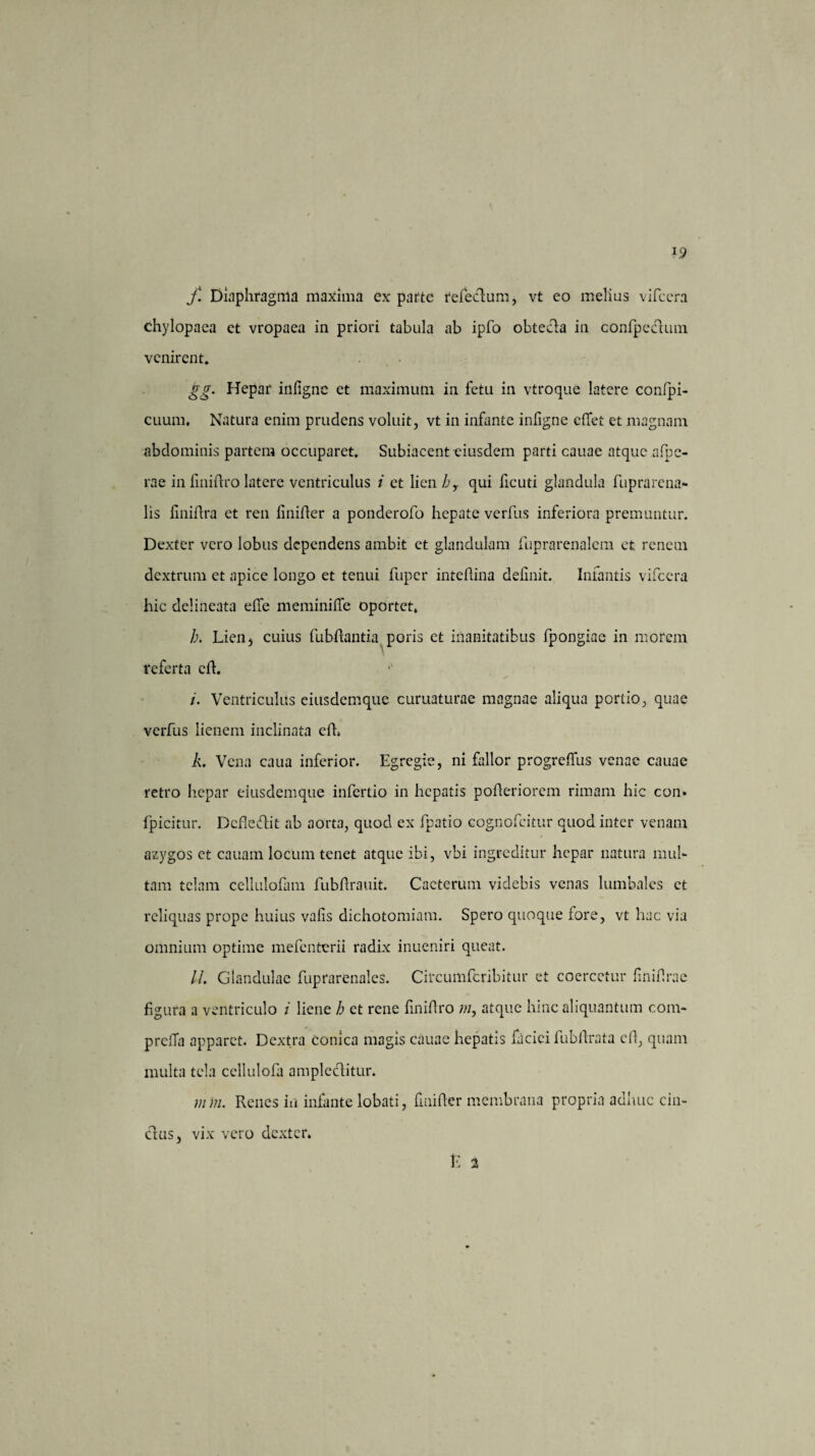 f. Diaphragma maxima ex parte refeclum, vt eo melius vifccra chylopaca et vropaea in priori tabula ab ipfo obtecla in confpecliim venirent. gg. Hepar infigne et maximum in fetu in vtroque latere conlpi- cuum, Natura enim prudens voluit, vt in infante infigne effet et magnam abdominis partem occuparet, Subiacent eiusdem parti cauae atque afpe- rae in finiftro latere ventriculus i et lien/;,, qui ficuti glandula fuprarena- lis finiflra et ren finifter a ponderofo hepate verfus inferiora premuntur. Dexter vero lobus dependens ambit et glandulam fuprarenalem et renem dextrum et apice longo et tenui fuper intefiina definit. Infantis vifccra hic delineata eile meminifle oportet, /;. Lien, cuius fubftantia poris et inanitatibus fpongiae in morem referta cft. Ventriculus eiusdemque curuaturae magnae aliqua portio, quae verfus lienem inclinata efh k. Vena caua inferior. Egregie, ni fallor progreffus venae cauae retro hepar eiusdemque infertio in hepatis poileriorem rimam hic con* fpicitur. Dcfledfit ab aorta, quod ex fpatio cognofcitur quod inter venam azygos et cauam locum tenet atque ibi, vbi ingreditur hepar natura mul¬ tam telam cellulofam fubftrauit. Caeterum videbis venas lumbales et reliquas prope huius vafis dichotomiam. Spero quoque fore, vt hac via omnium optime mefenterii radix inueniri queat. //. Glandulae fuprarenales. Circumfcribitur et coercetur finifirae figura a ventriculo i liene b et rene finifiro m, atque hinc aliquantum com- prelTa apparet. Dextra Conica magis cauae hepatis faciei fubfirata cil, quam multa tela cellulofa ampleclitur. m)n. Renes in infante lobati, fmifier membrana propria adhuc cin¬ ctus, vix vero dexter. E 2